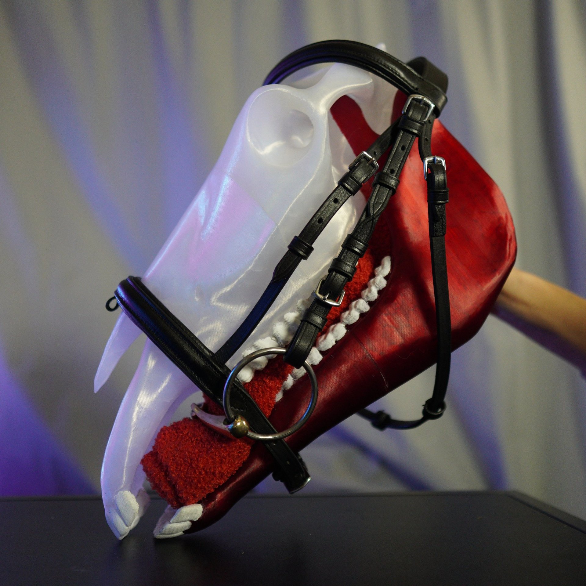 a horse's mouth with a toothbrush and a toothbrush