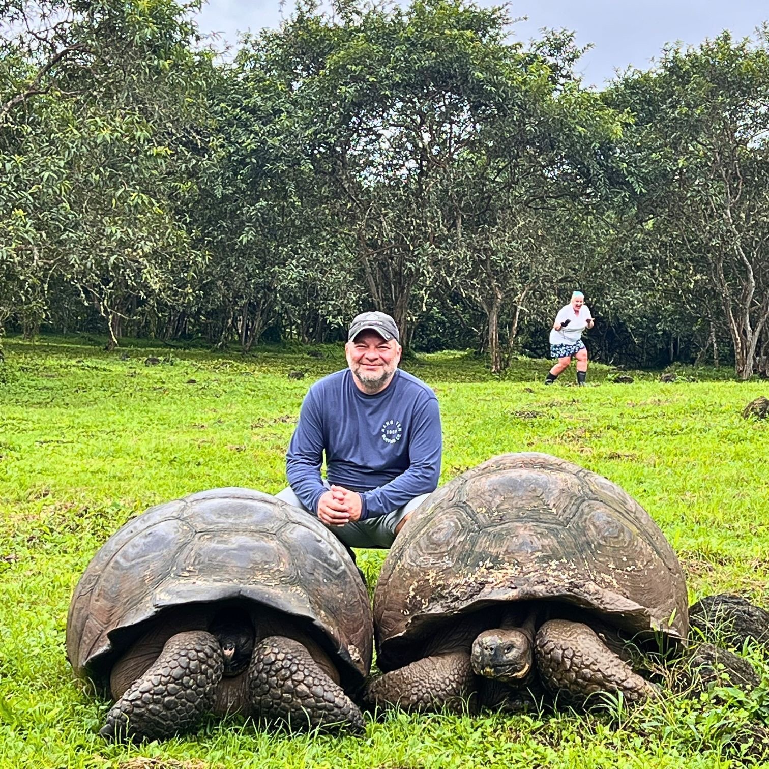 A man posing with two giant Galapagos tortoises in a lush green field near tropical trees.