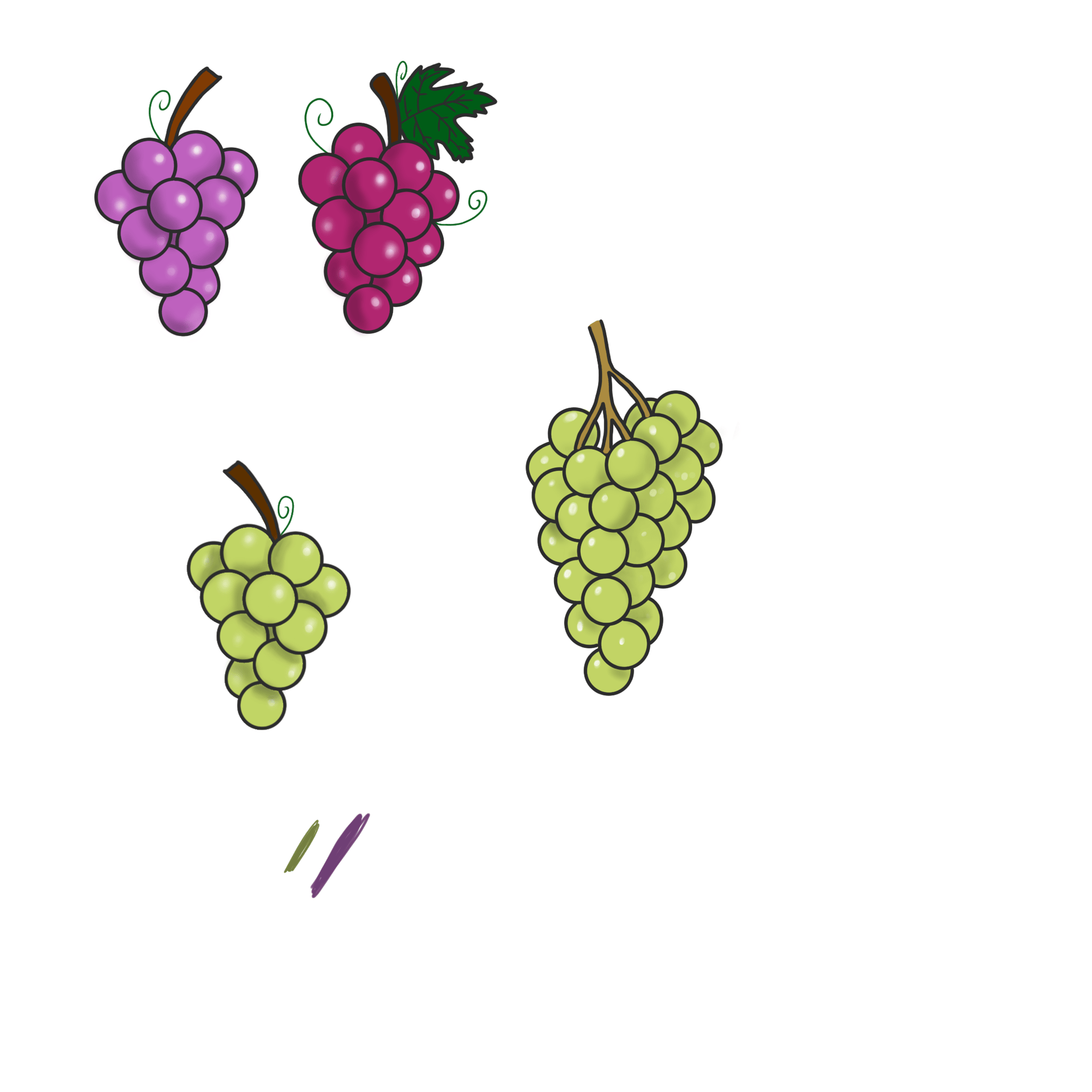 Dessin original de grains de raisins provenant de l'univers de Calnima autrice française indépendant