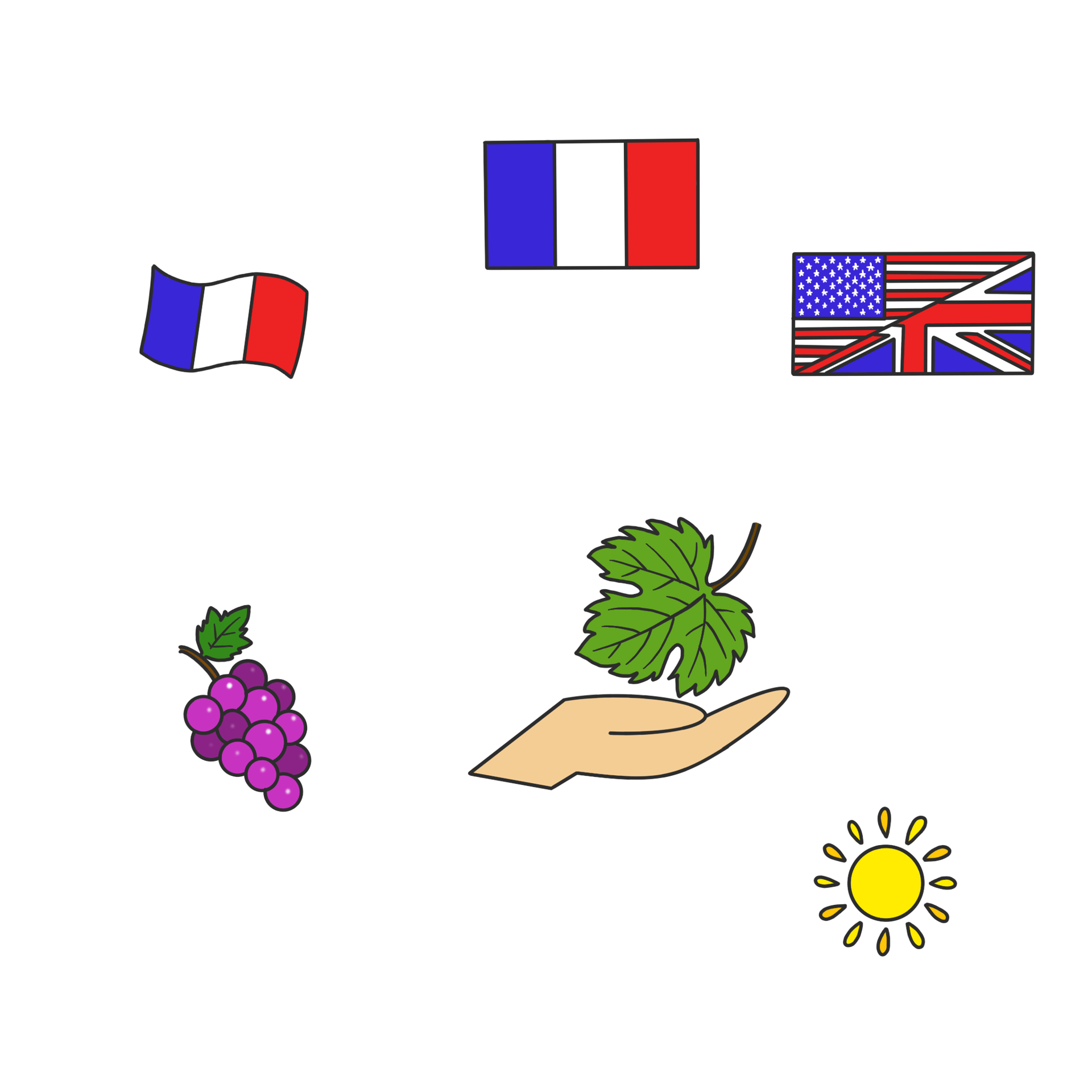 Dessin original de grains de raisins provenant de l'univers de Calnima autrice française indépendant