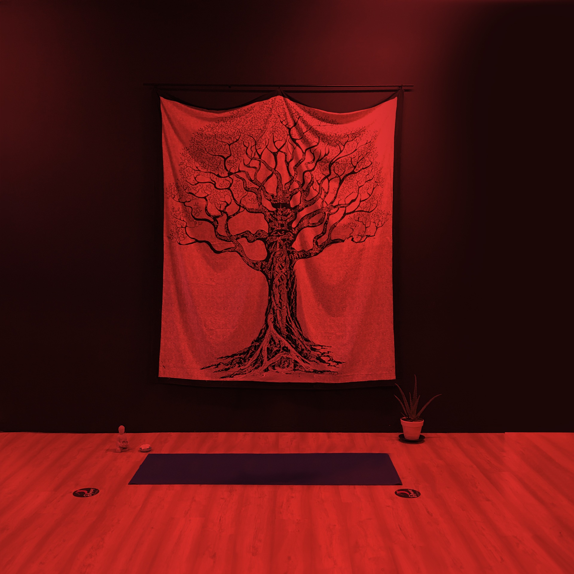 ASD Movimento Bergamo - Albero della vita