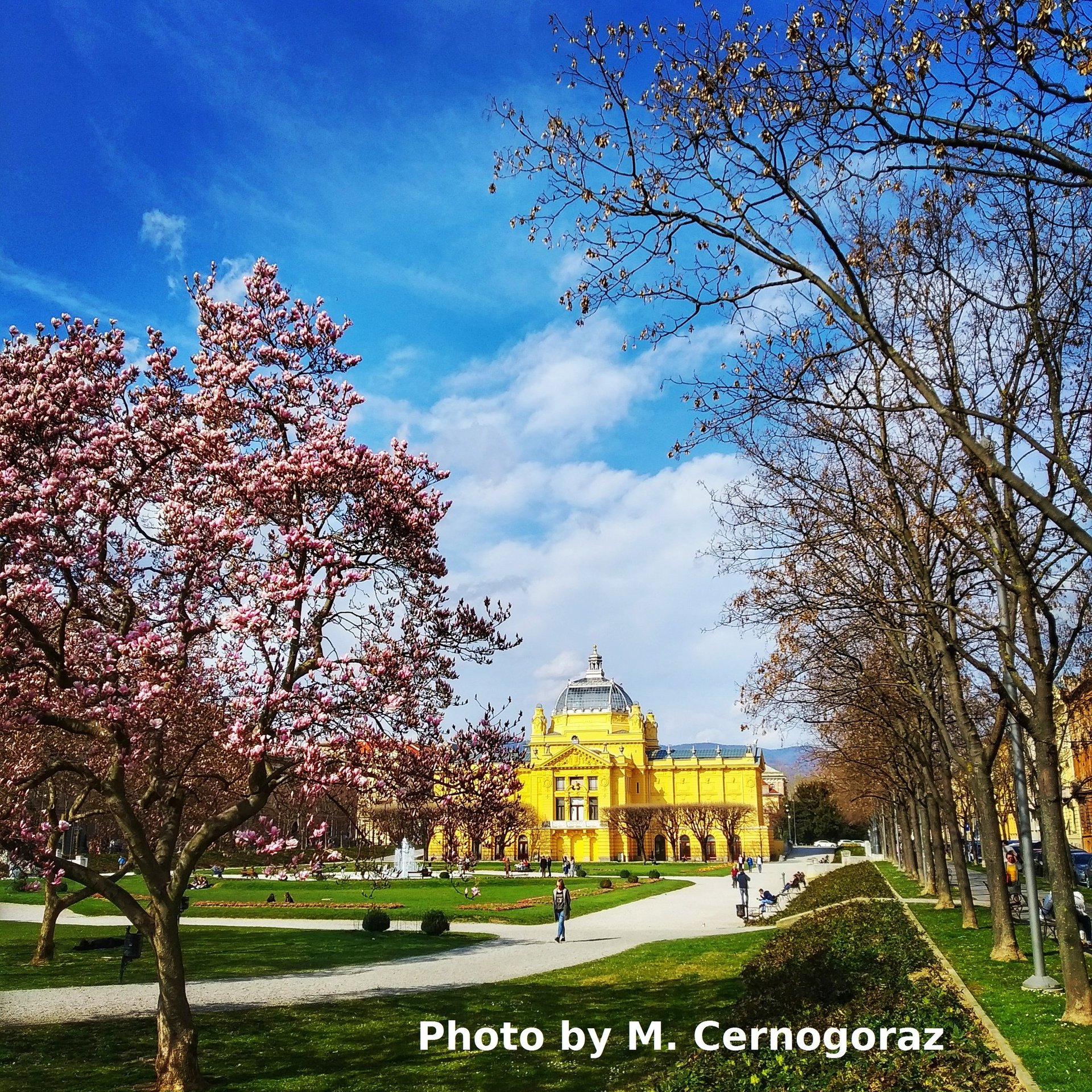 Art Pavillion Zagreb with Zagreb magnolias