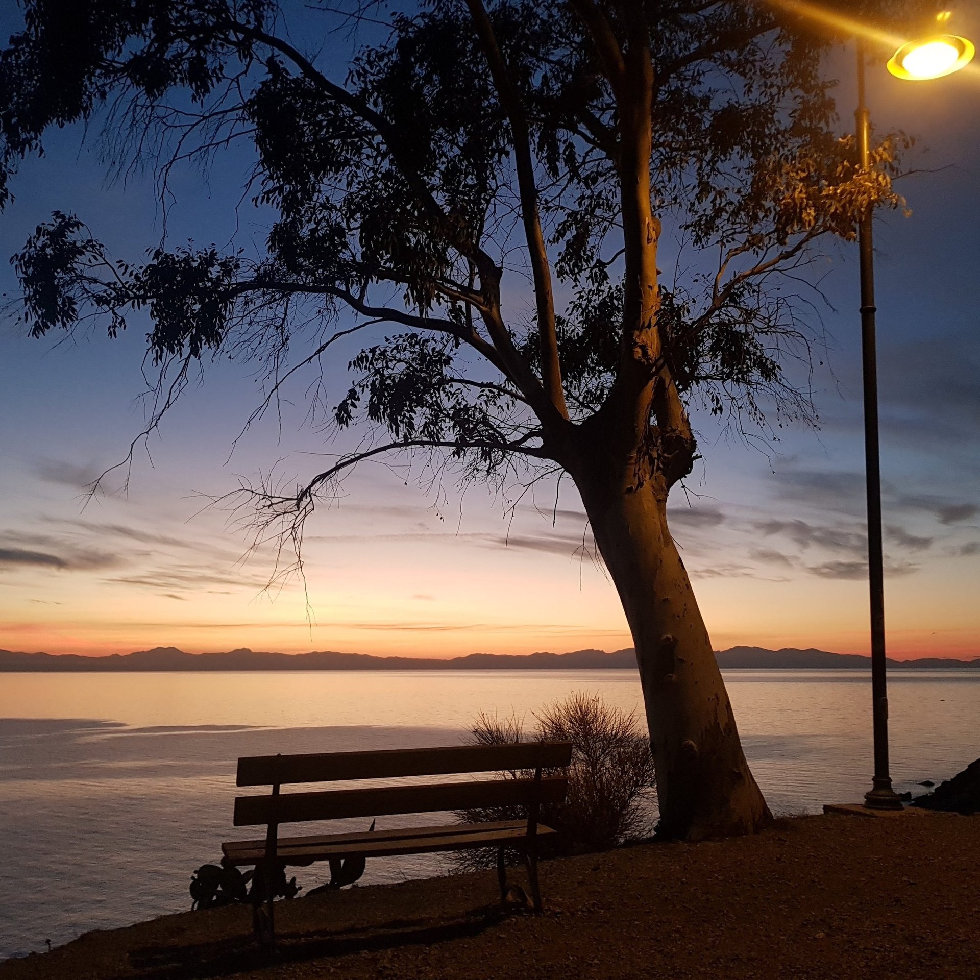 a bench with a bench and a bench in the foreground