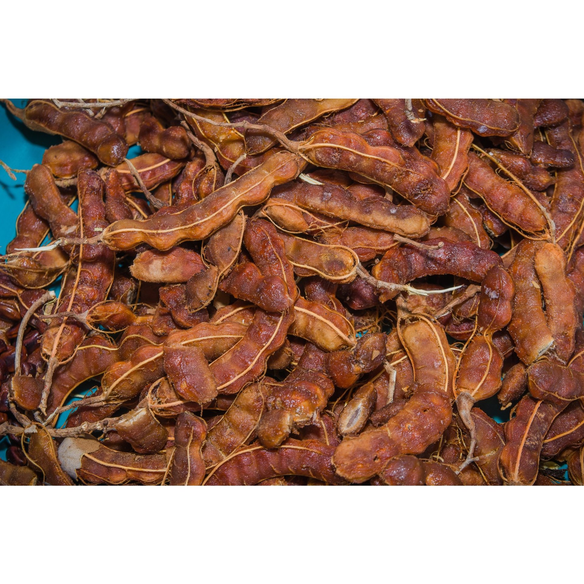 Tamarind - WEARE OCEAN EXPORT