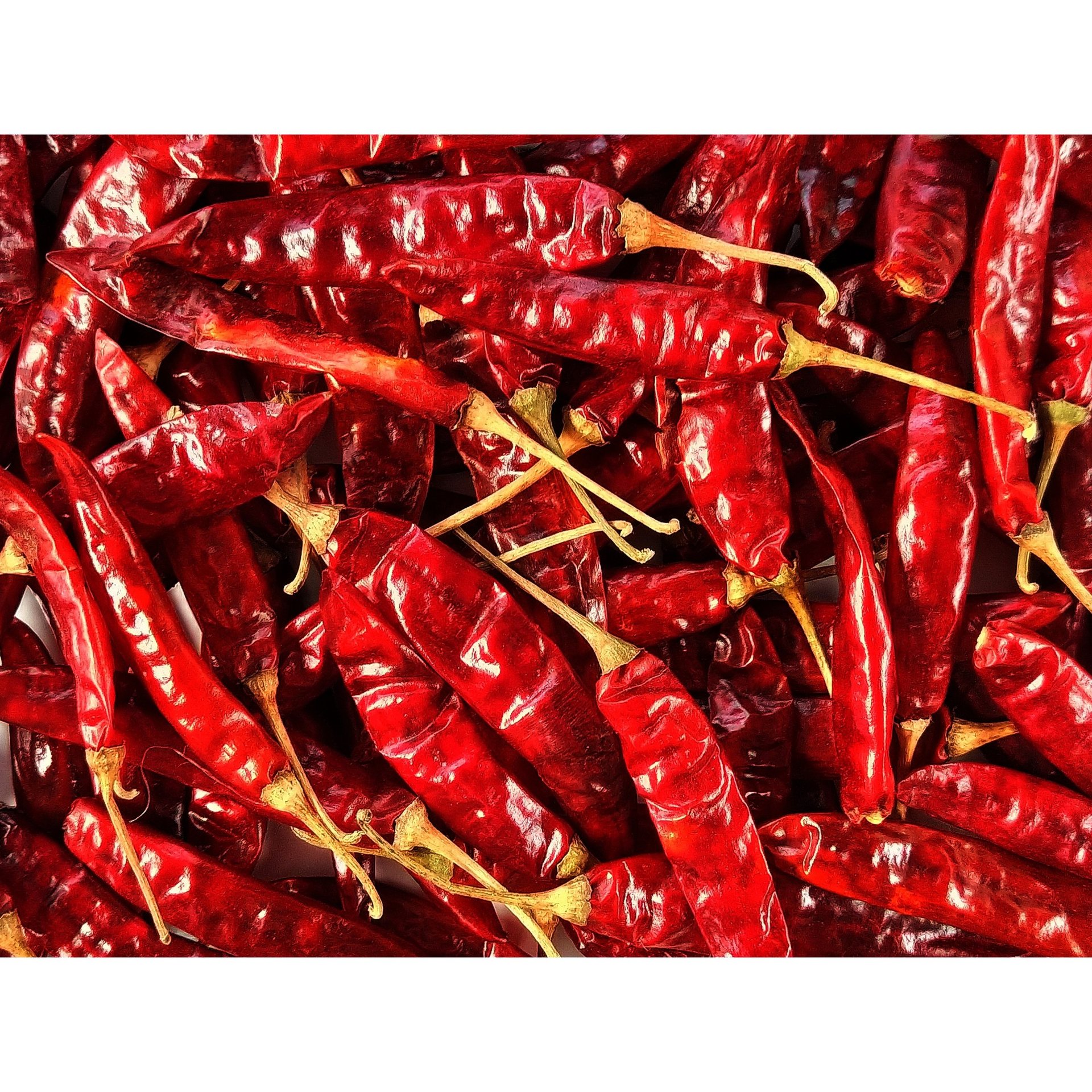 Red Chilli - WEARE OCEAN EXPORT