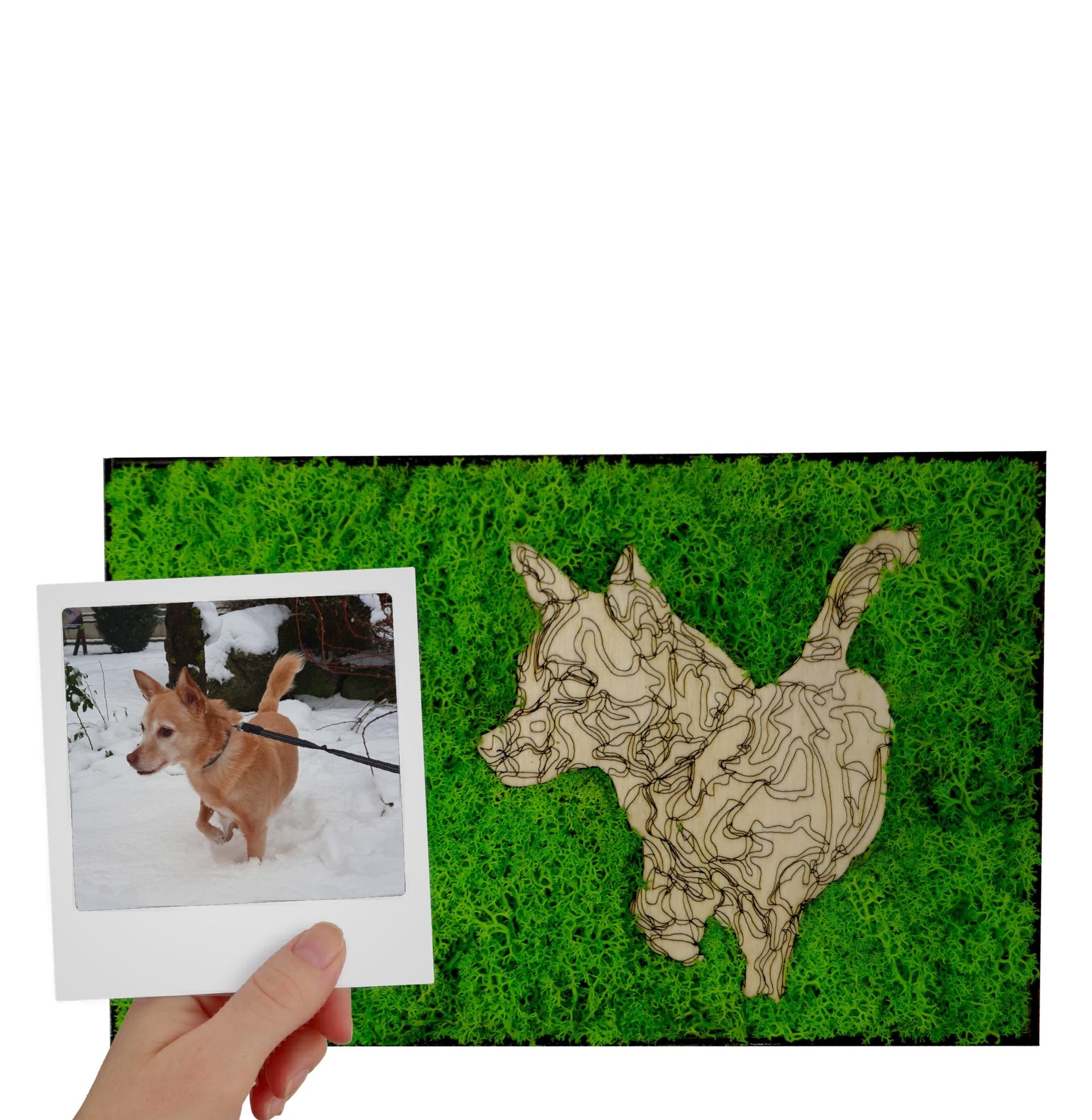 a dog is shown in a photo with a polaroidic polaroid polaroid