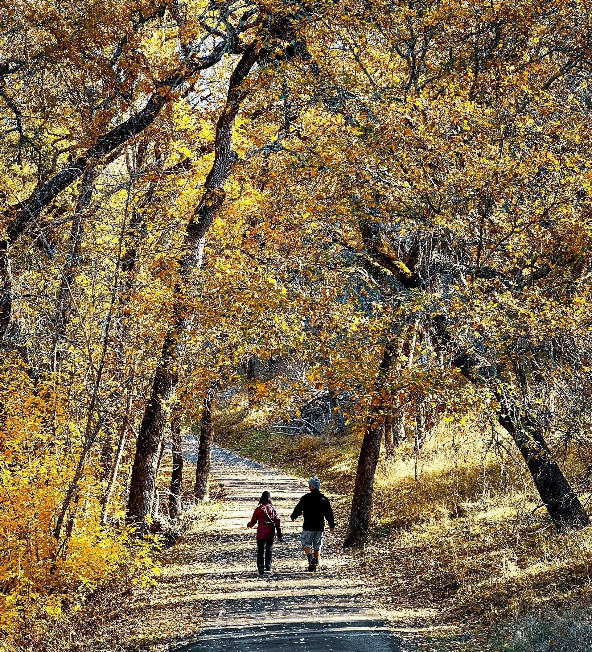 Photo de <a href="https://unsplash.com/fr/@sterlinglanier?utm_content=creditCopyText&utm_medium=refe