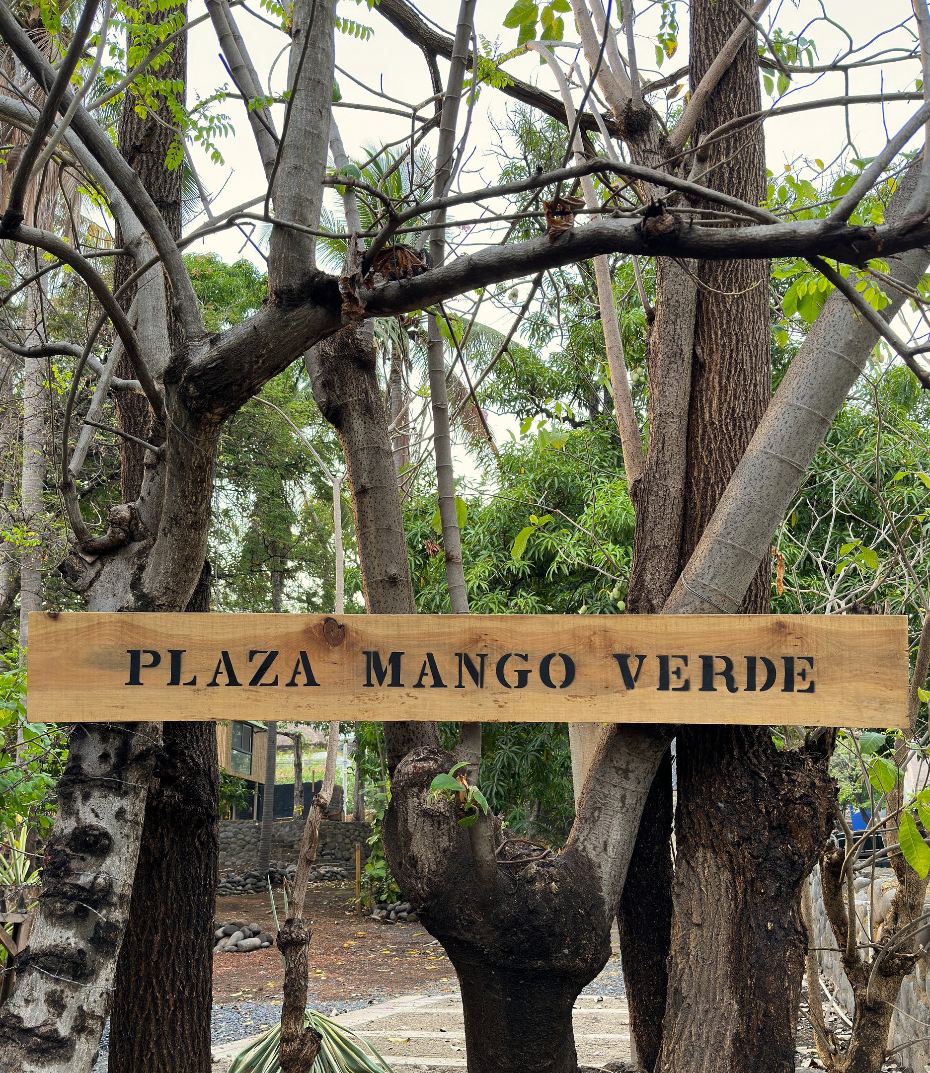 plaza mango verde sign 
