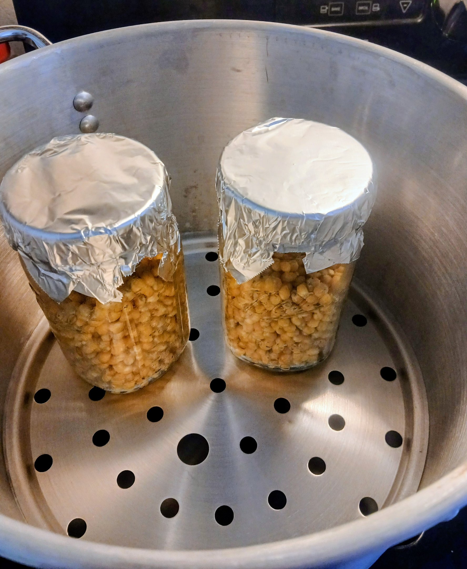 corn grain jars with foil lids inside a tamale steamer pot ready for pasteurization