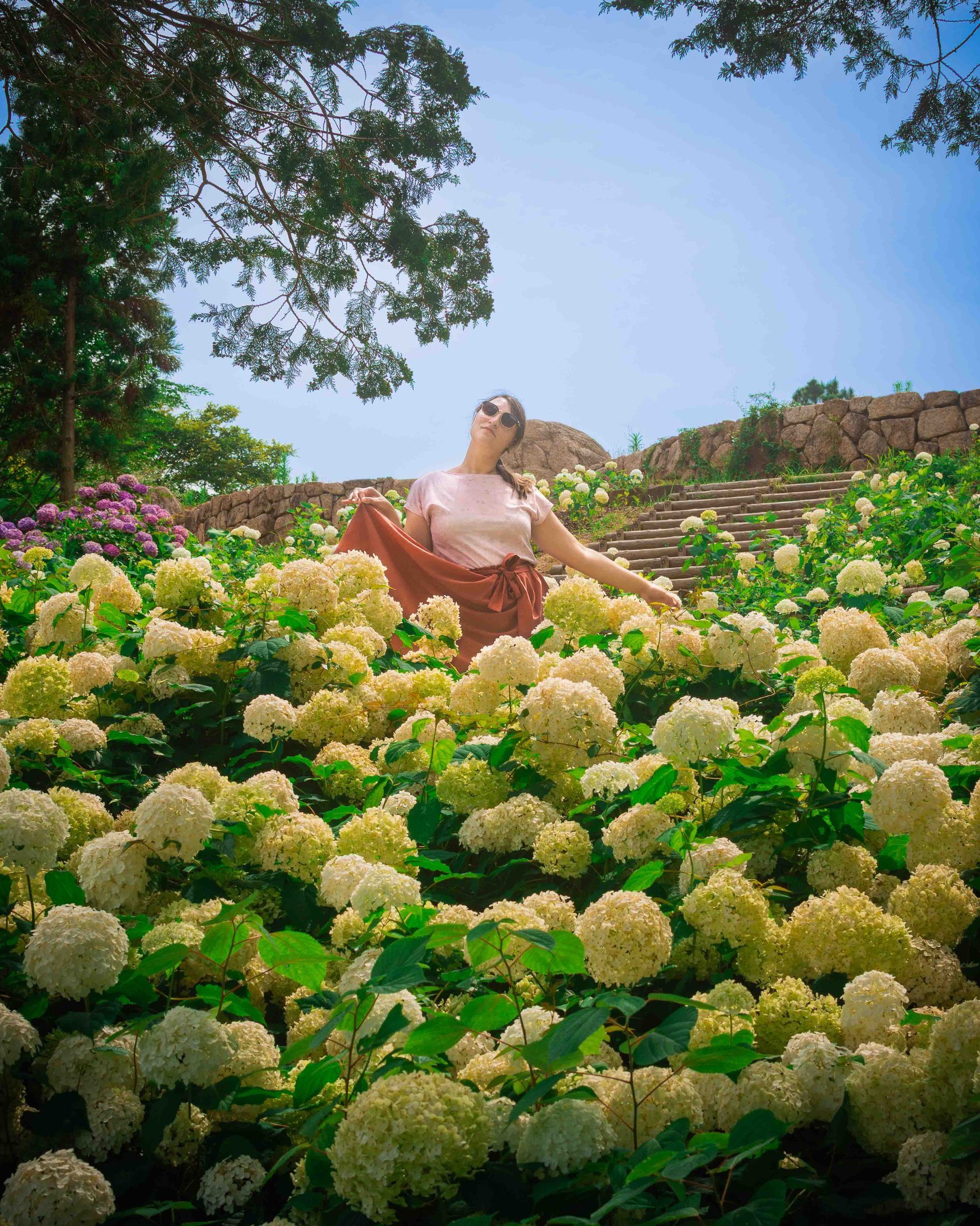 Une femme pose au milieu d’un champ d’hortensias blancs en fleur, sous un ciel bleu, sur les marches