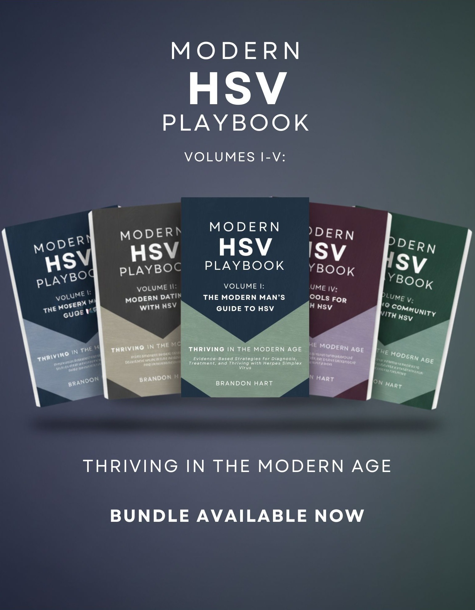 Modern HSV Playbook five-volume series displayed: complete collection covering management, dating