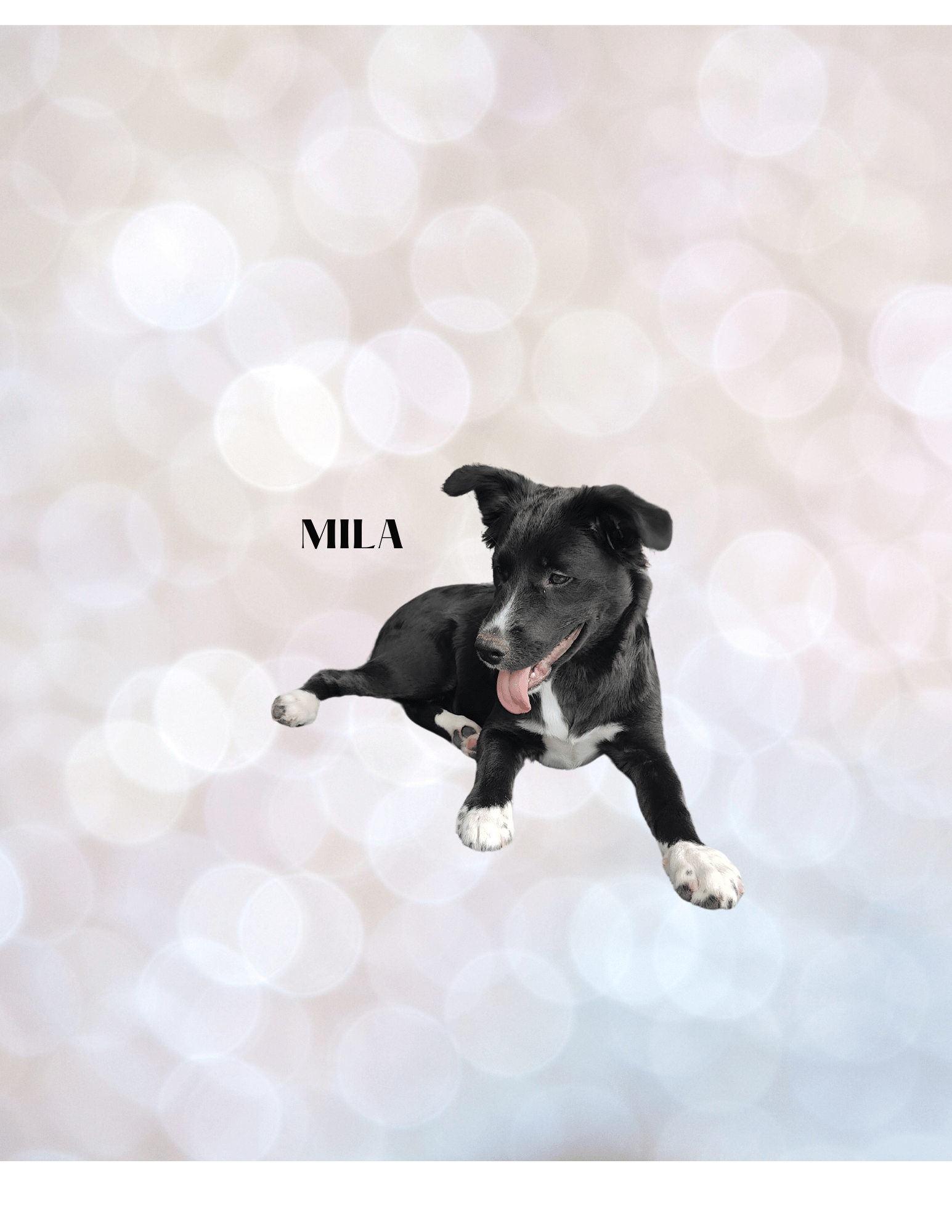 Reiki student in training