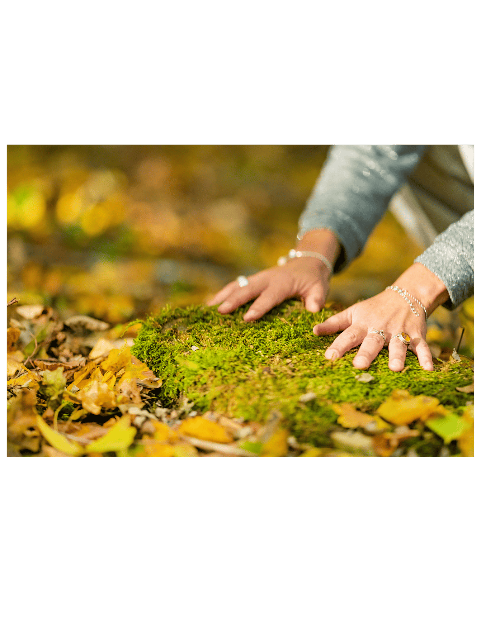 Person with their hands in nature on the earth: grounding.