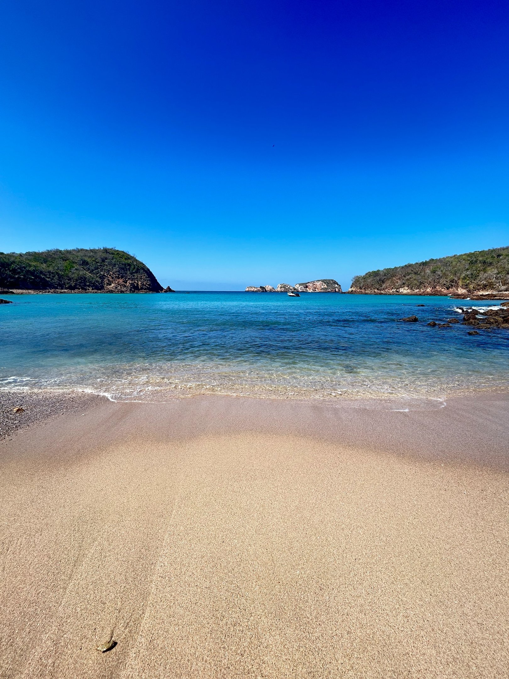 Tour a Careyes saliendo desde Puerto Vallarta