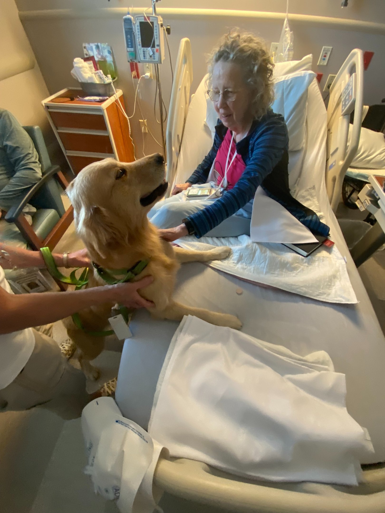 Tender Paws Therapy Animal Anna visits a female patient at Tennove.