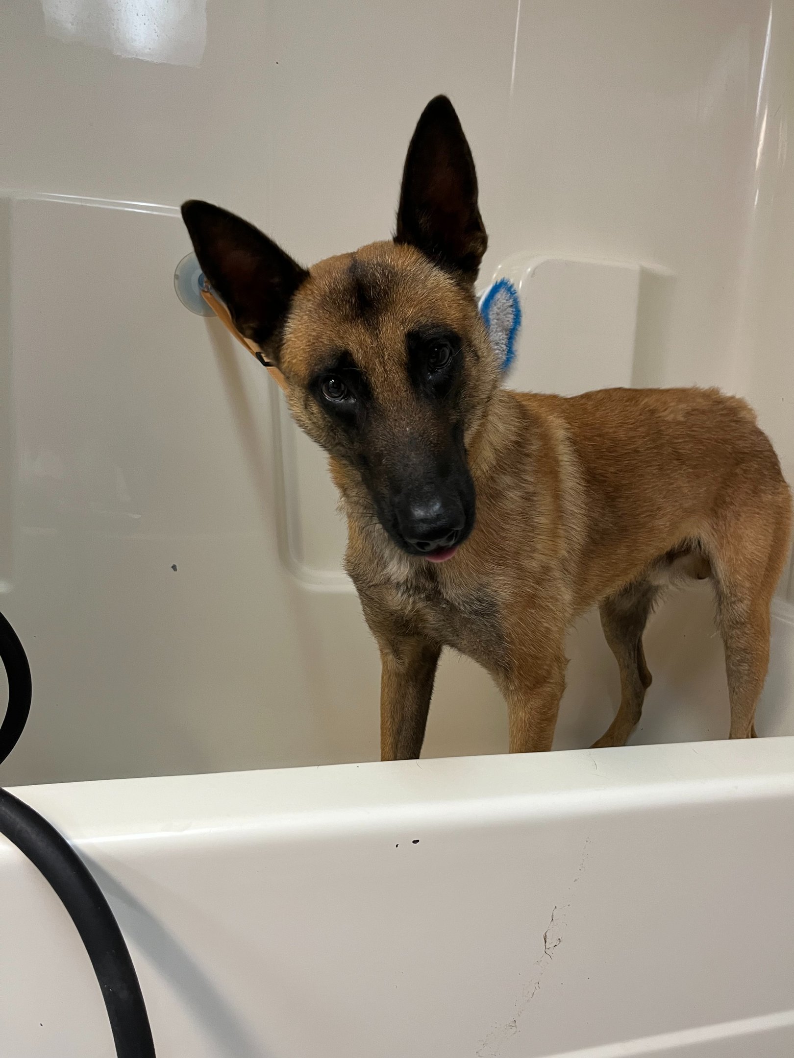 bath