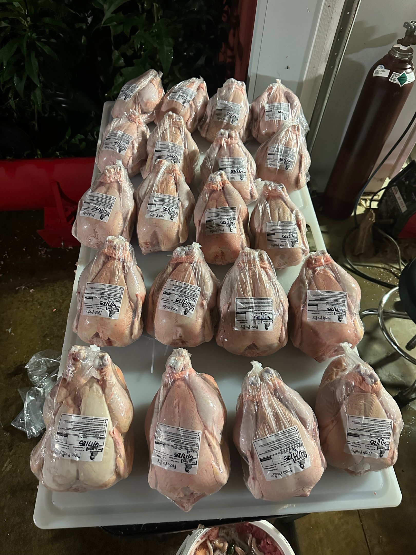 Whole Chickens Fresh from the Pasture