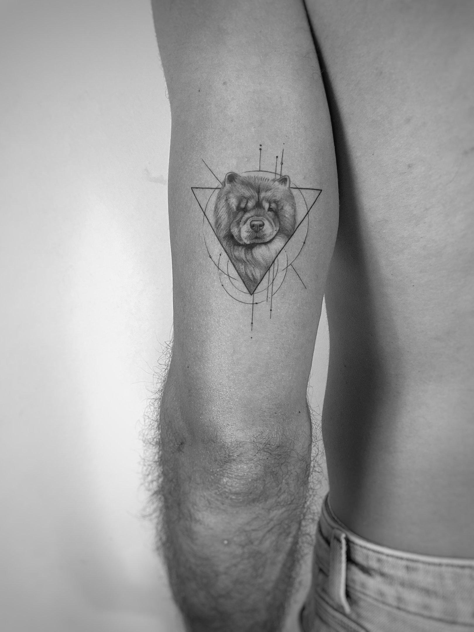 Tatuaje microrealismo perro dentro de triángulo geométrico en brazo madrid