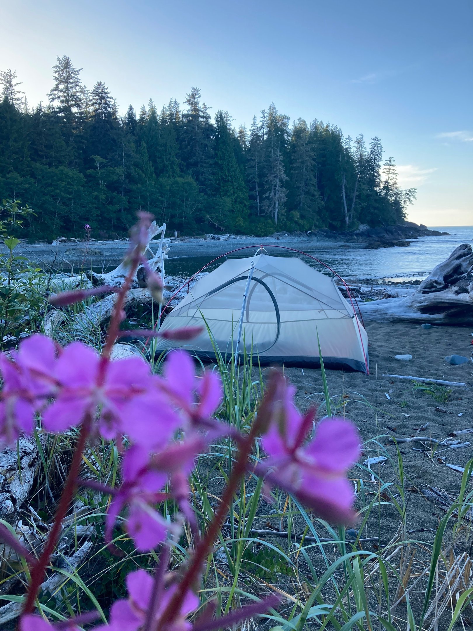 a tent pitched up in the sand near a beach