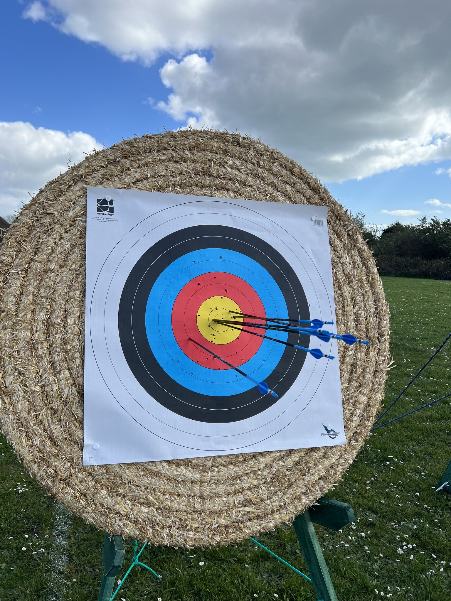a target with arrows that have been shot into it