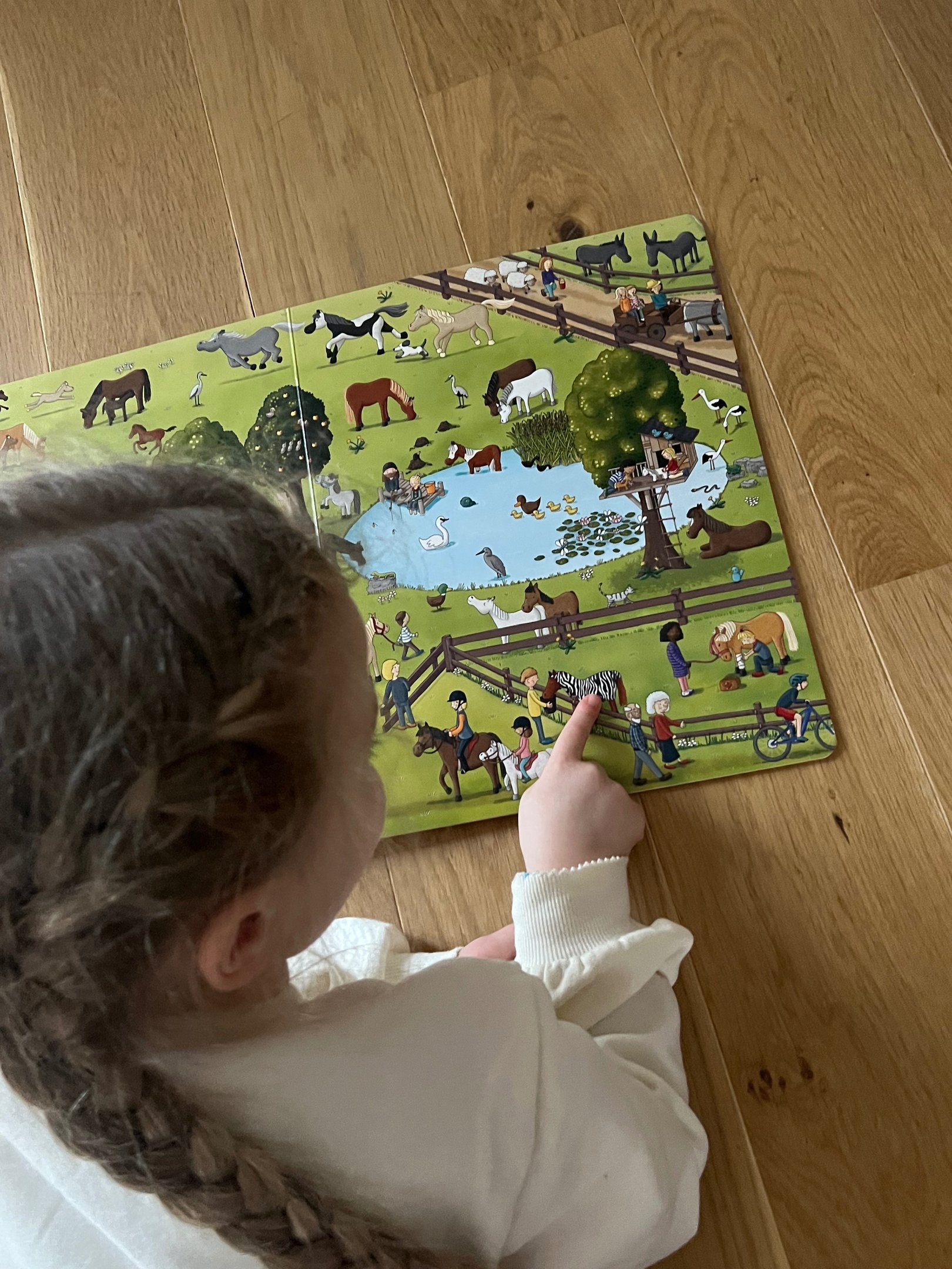 Einblick in das Wimmelbuch Pferde & Ponys