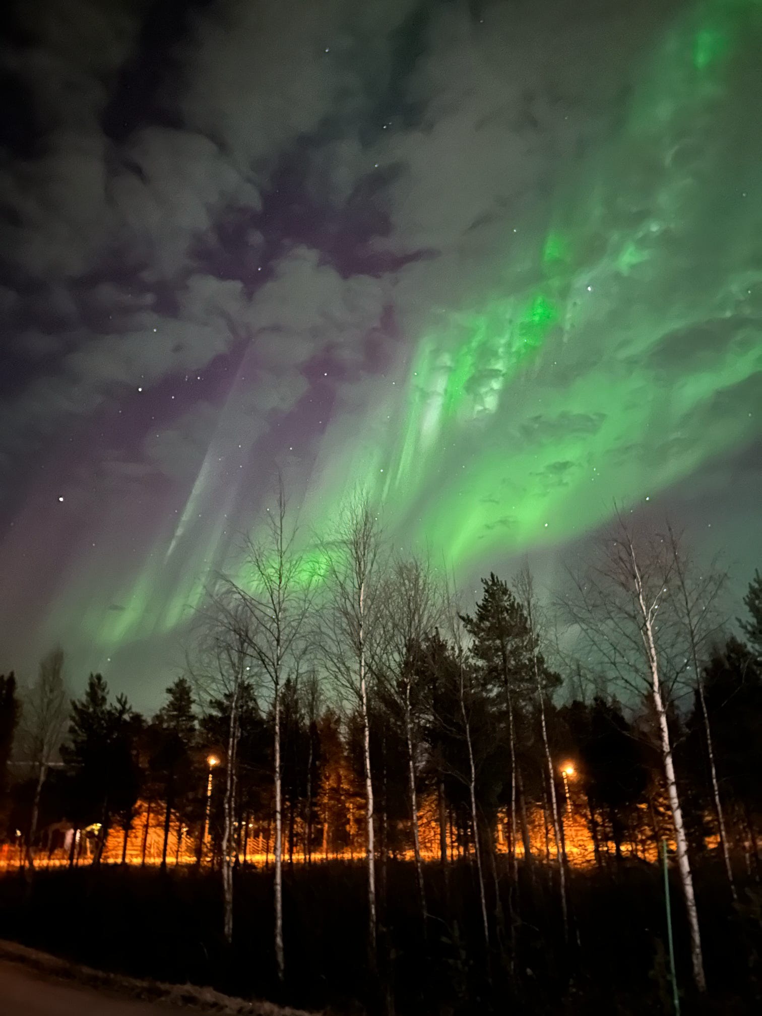 a green and white sky with a green sky with auroras and some trees