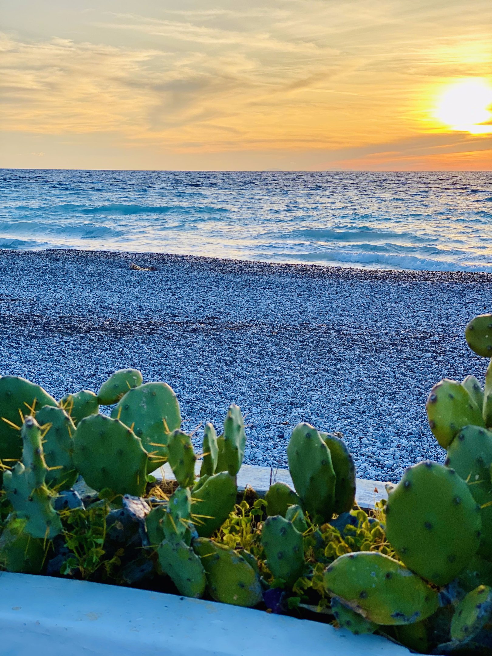 a cactus planter with a sunset in the background