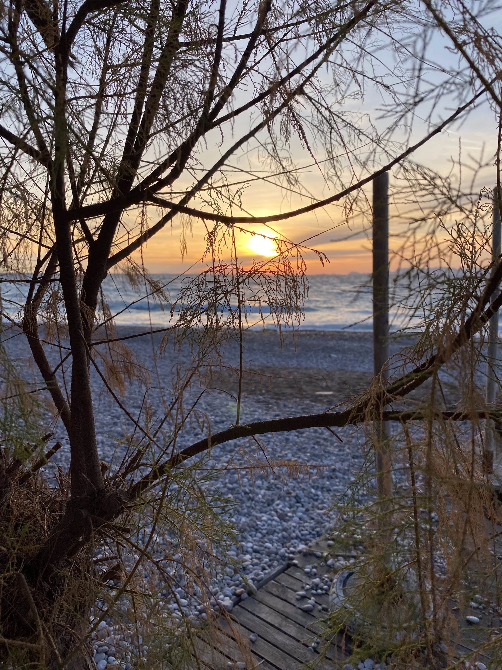 sunset in rhodes greece and some trees and beach on the background