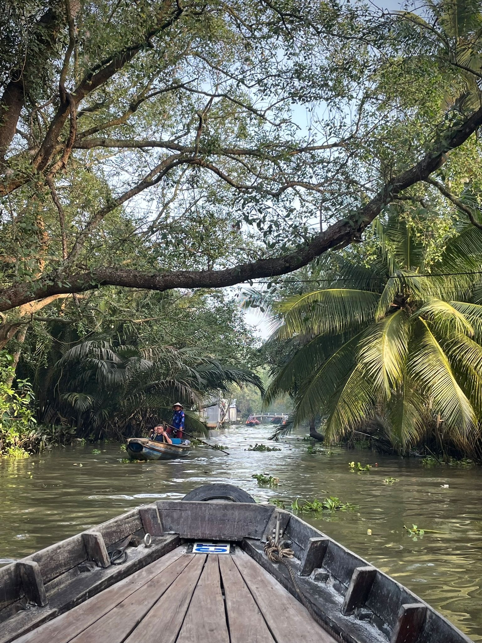 wietnam delta mekongu