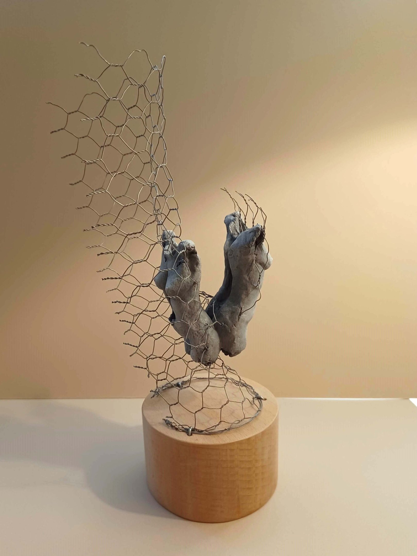 A sculpture of two female torsos, back to back, surrounded by wire netting, painted blue-greys