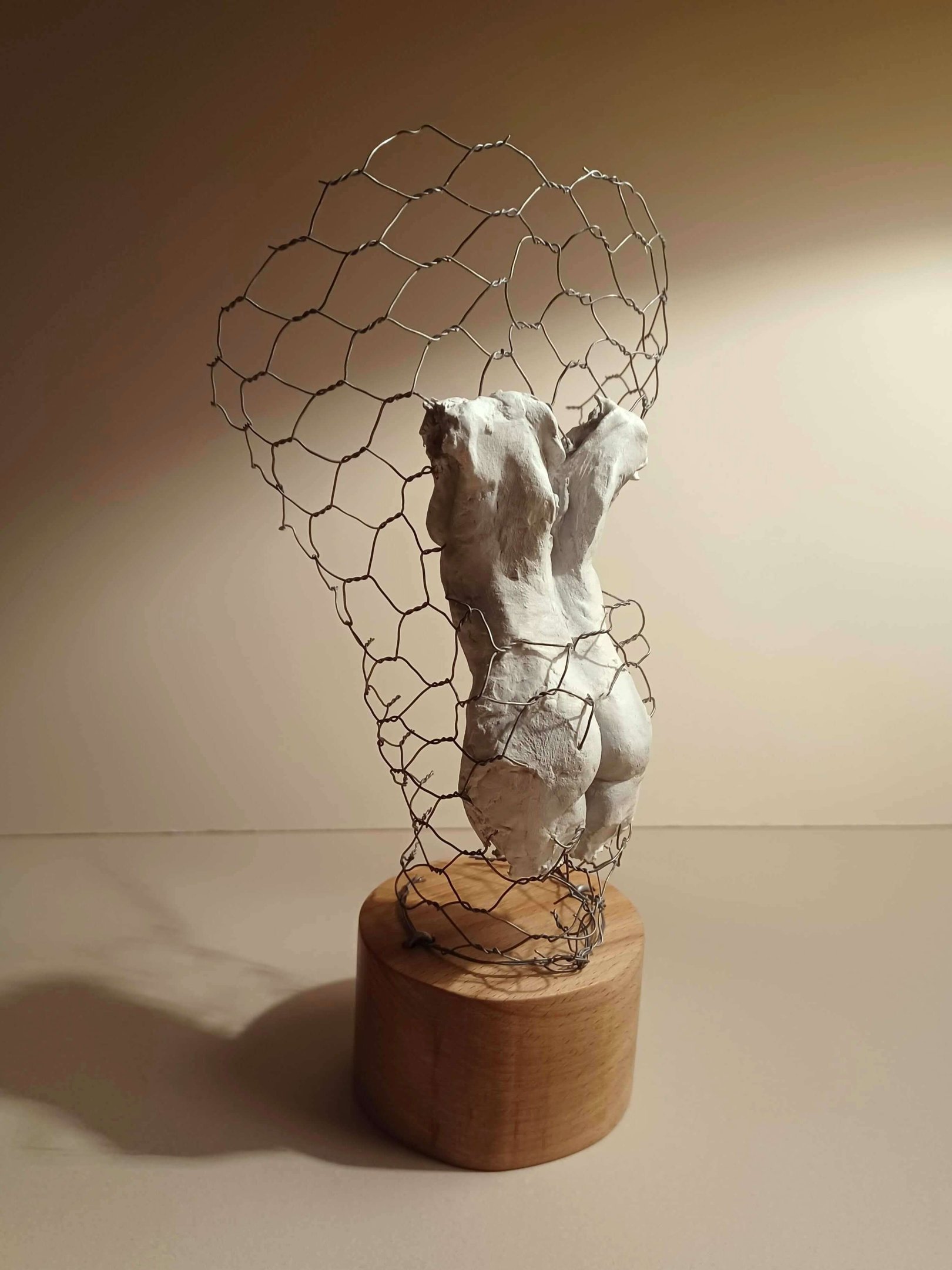 A clay female torso surrounded by wire netting, painted in neutral colours