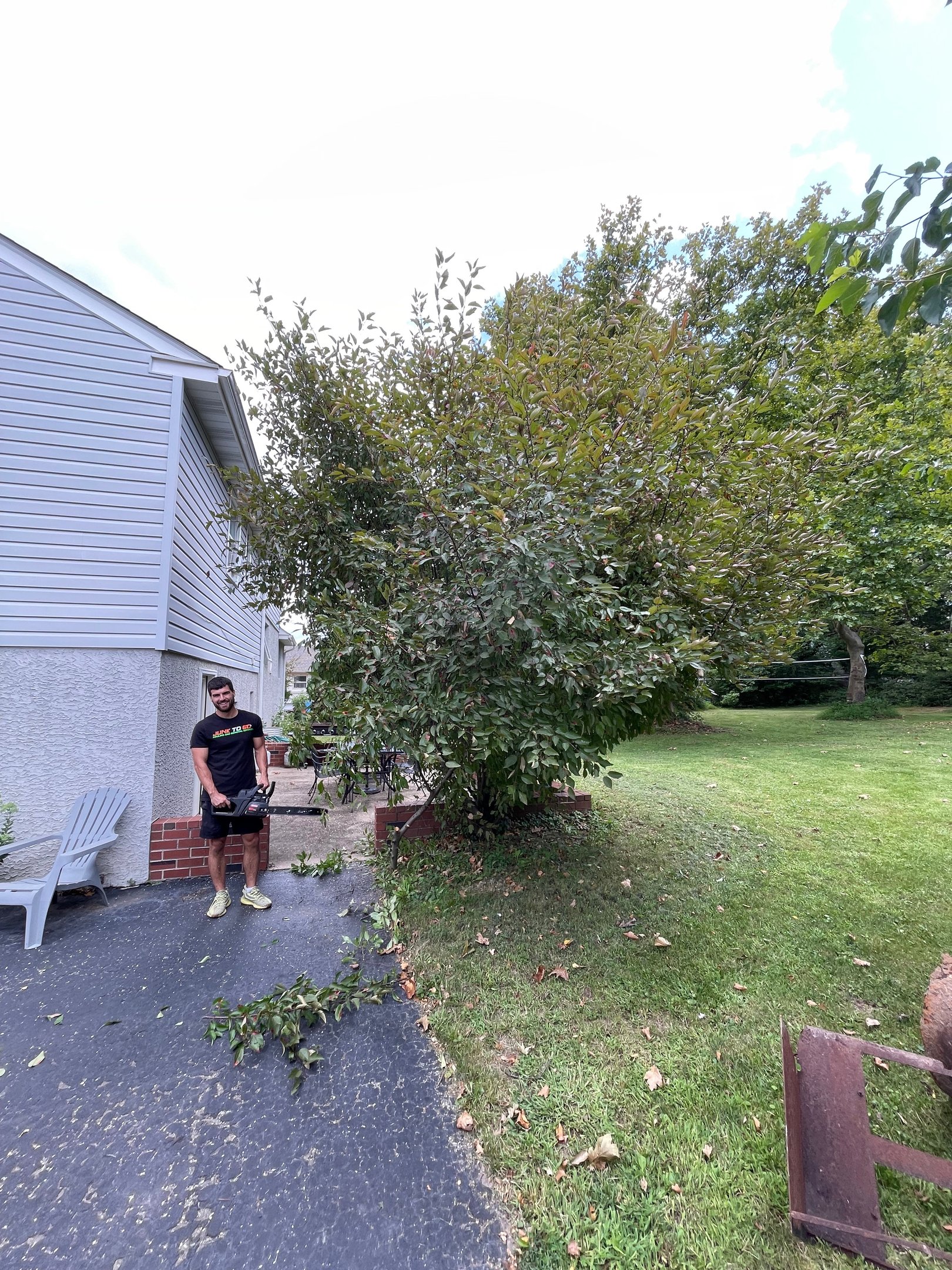 Yard waste cleanout and property services by Junk To Go.