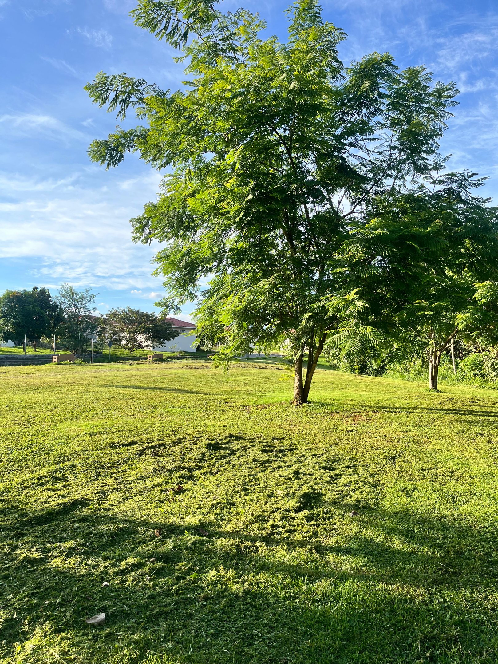 Mantenimiento de jardin