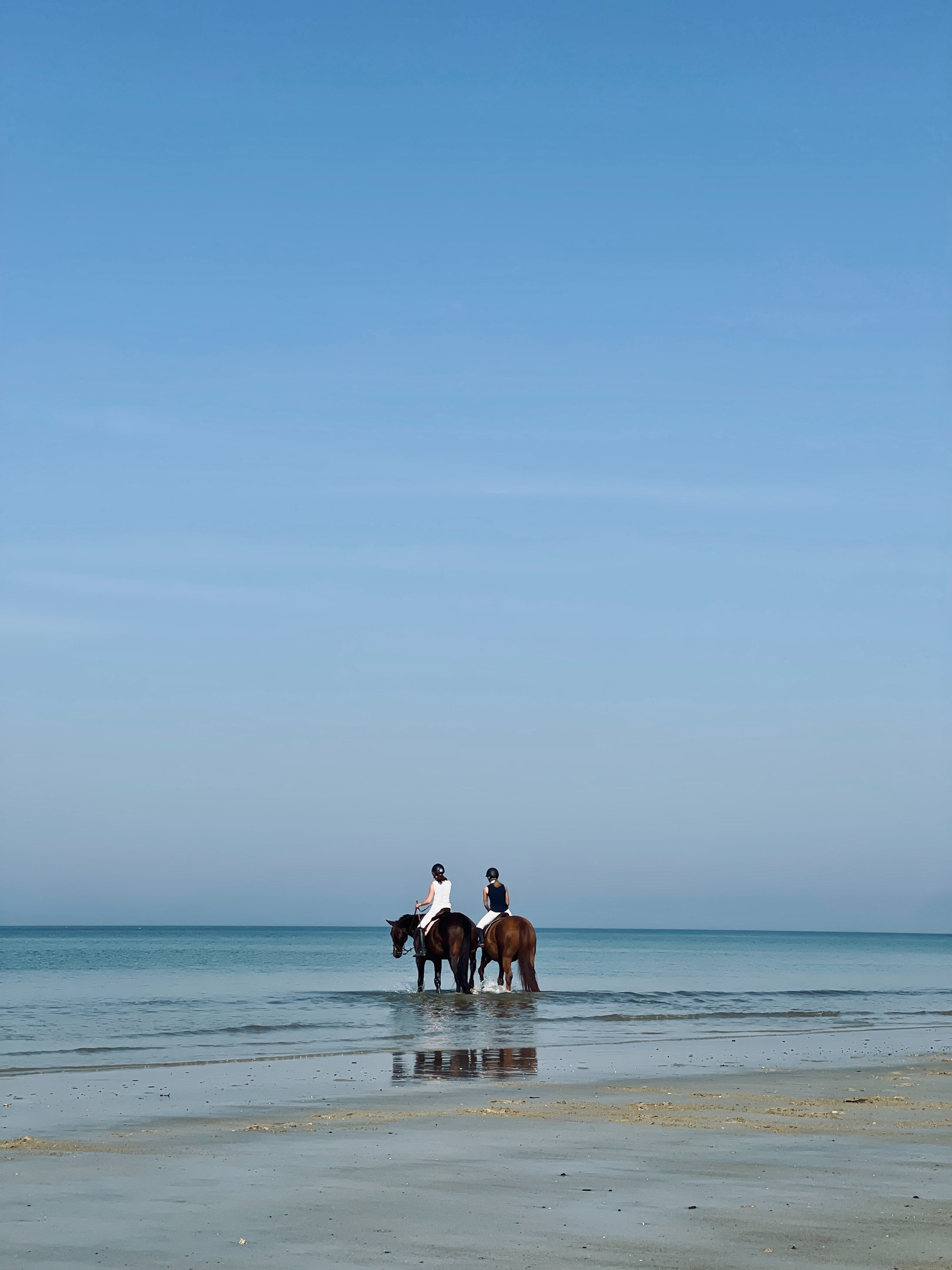 chevaux sur la plage