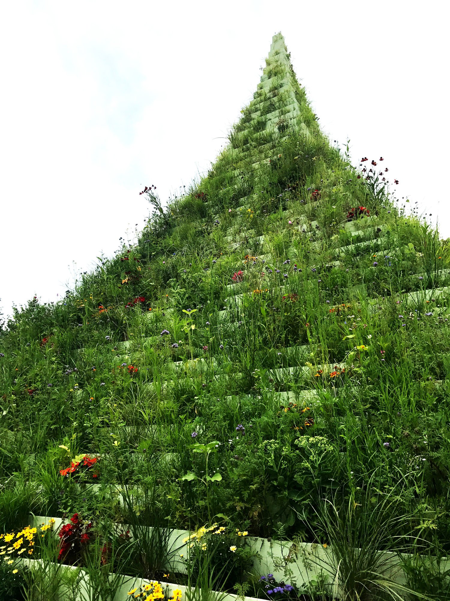 instalação Agnes Denes