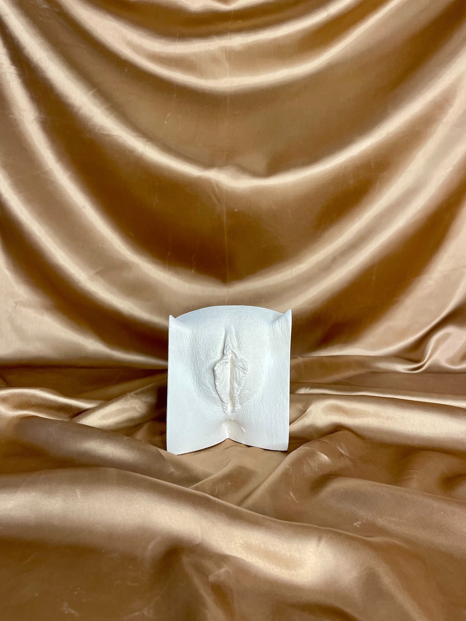 Moulage de vulve sur fond doré - Moulage intime Bordeaux