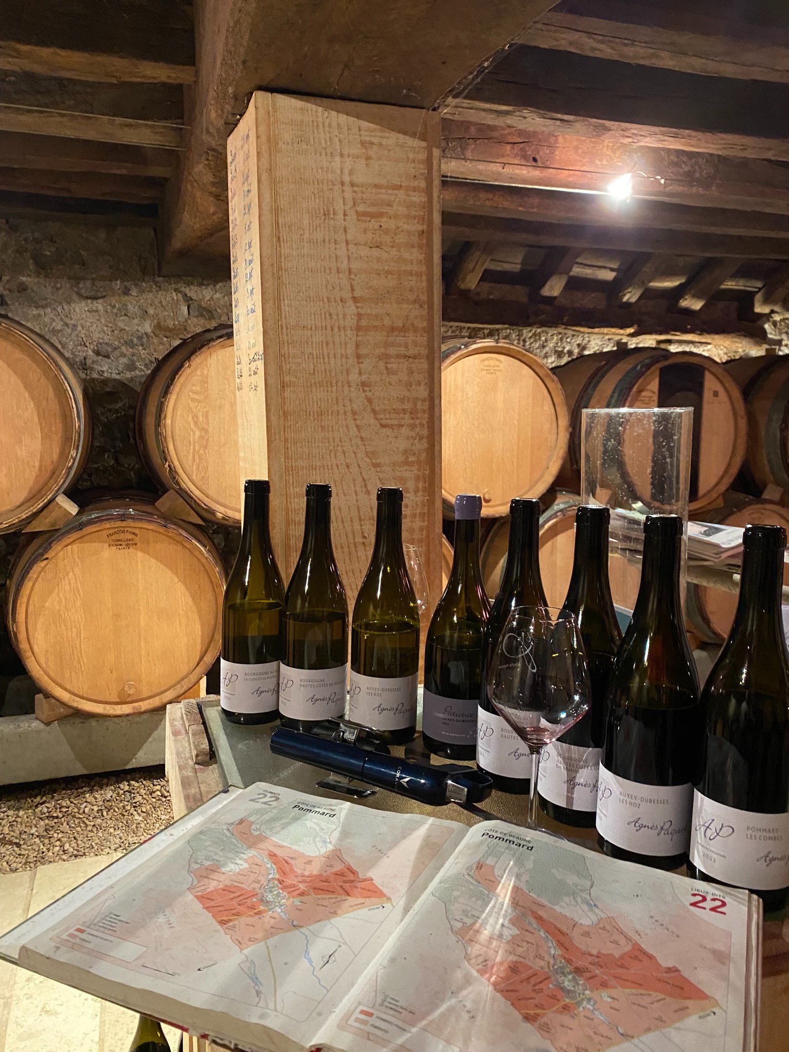 investissement dans le vin conseiller