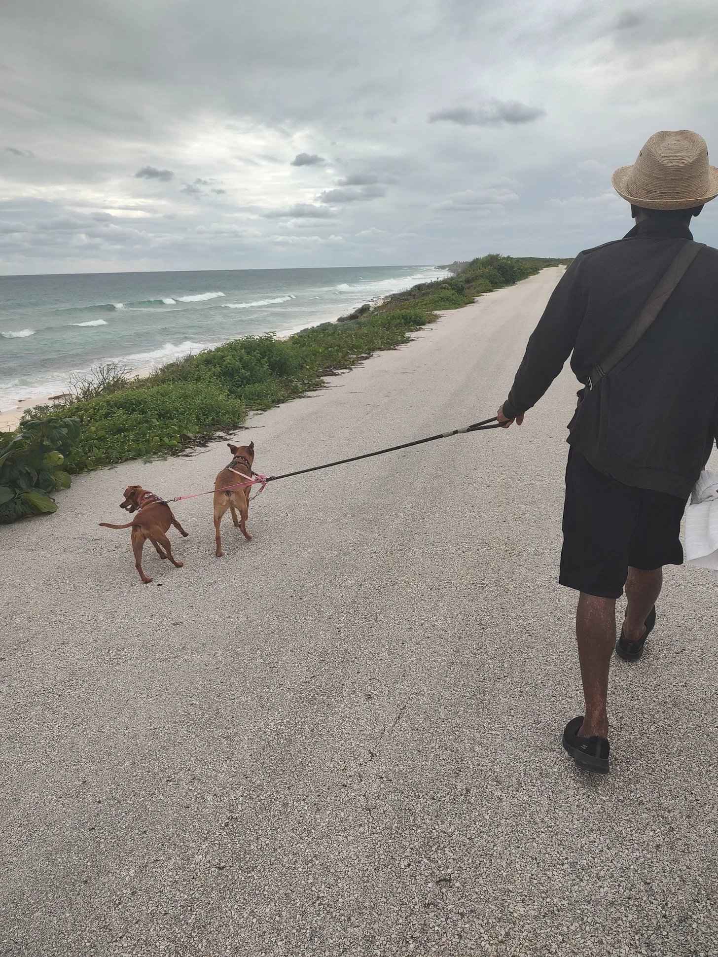 my husband and our dogs walking along the Cozumel coastline