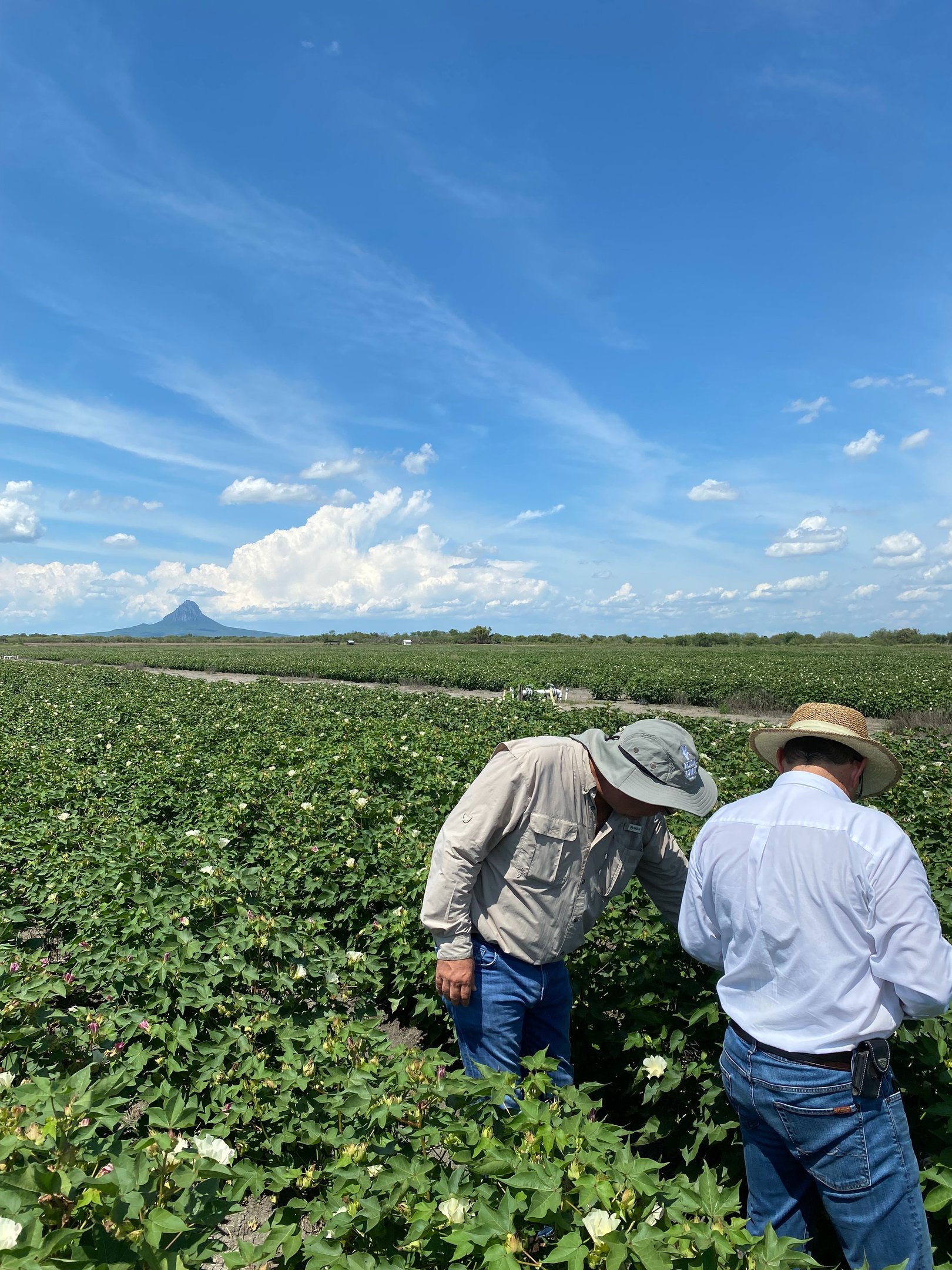 two men in hats and hats standing in a field