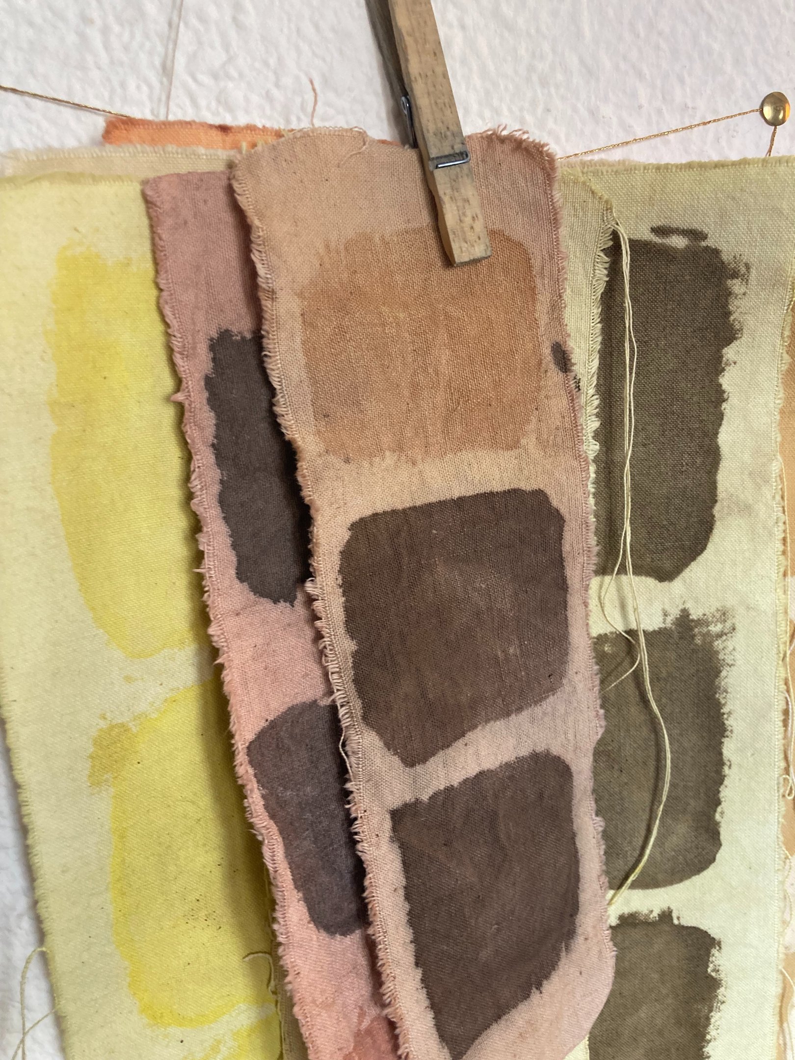 nuancier teinture végétale naturelle couleurs nature