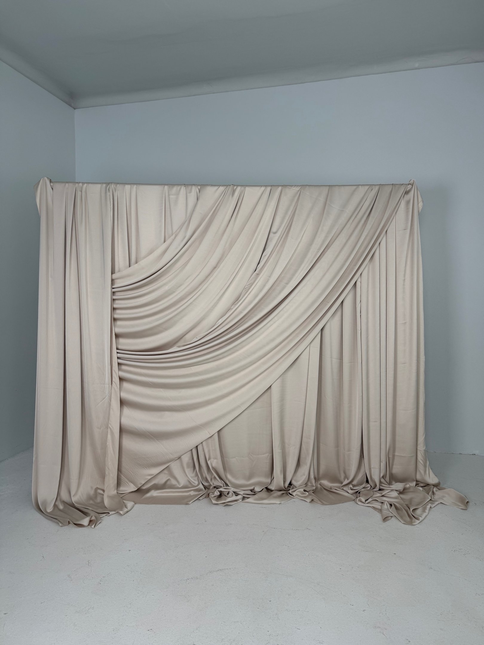 Audinio foto siena, audinio foto sienele, kremines medzigaos sienele, isskirtine foto siena vilniuje