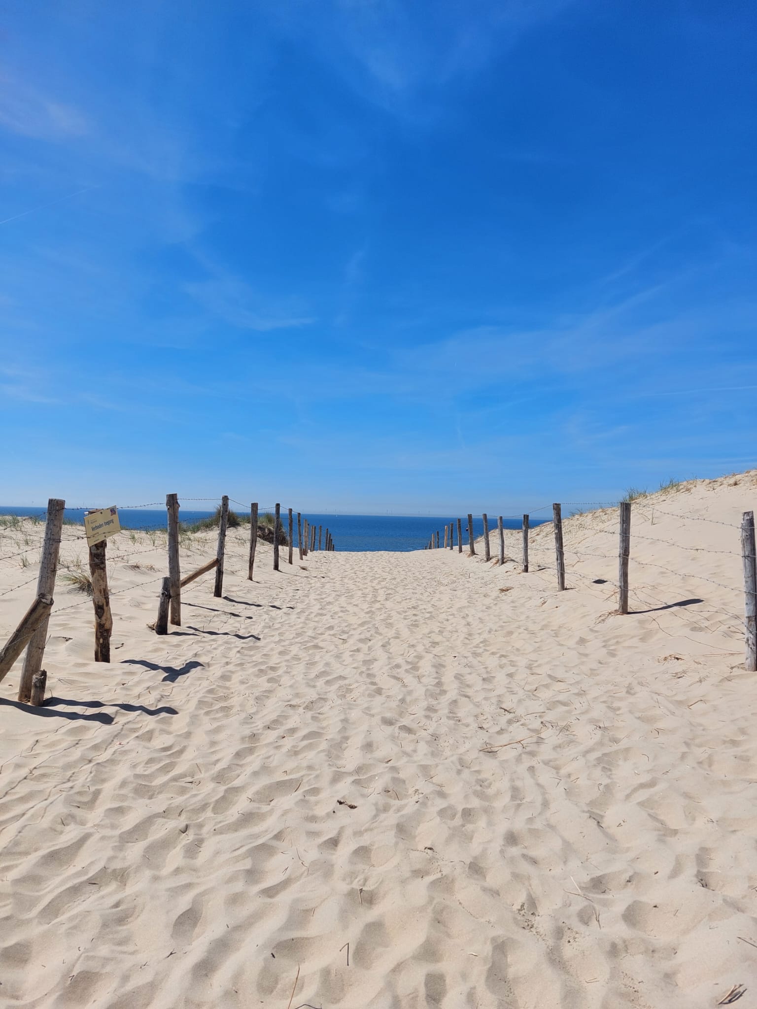 Aussicht auf die Küste von Zandvoort, Holland