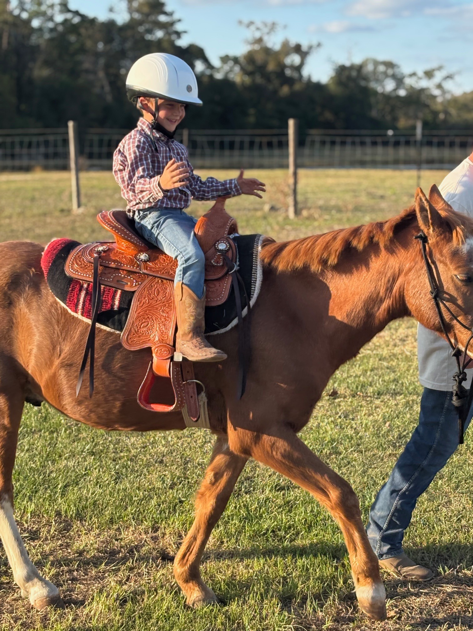 Brave little cowboy testing his riding skills on Snickers