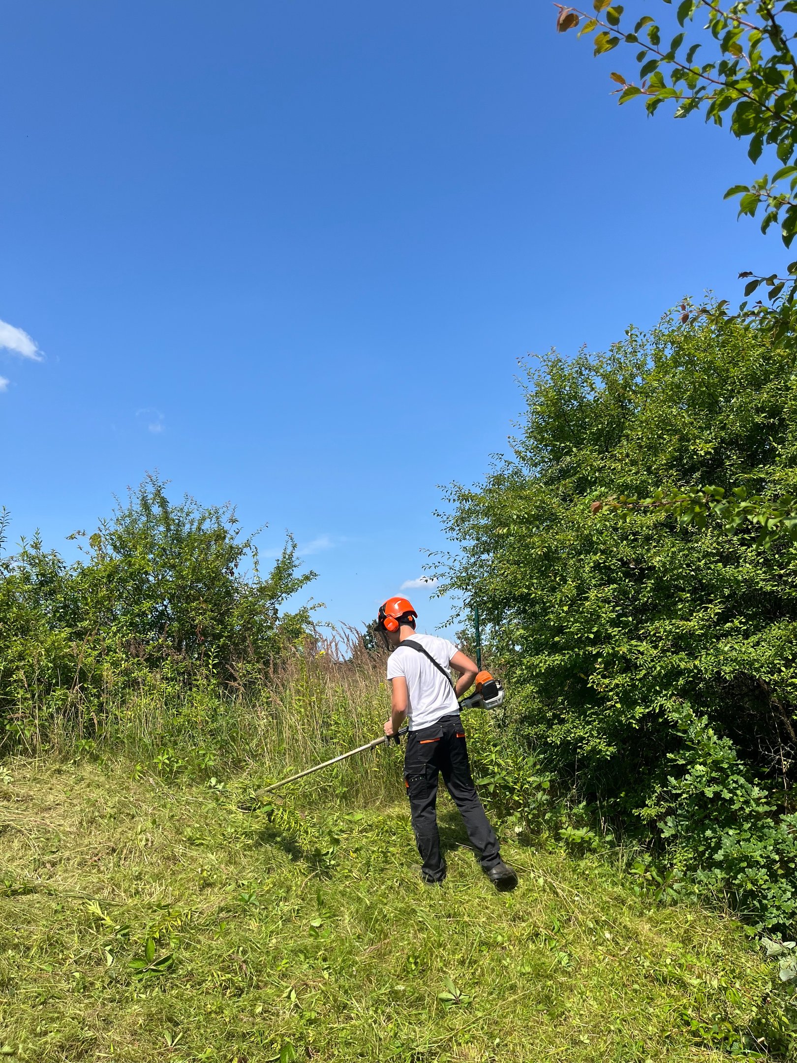 apleistu sklypų tvarkymo darbai