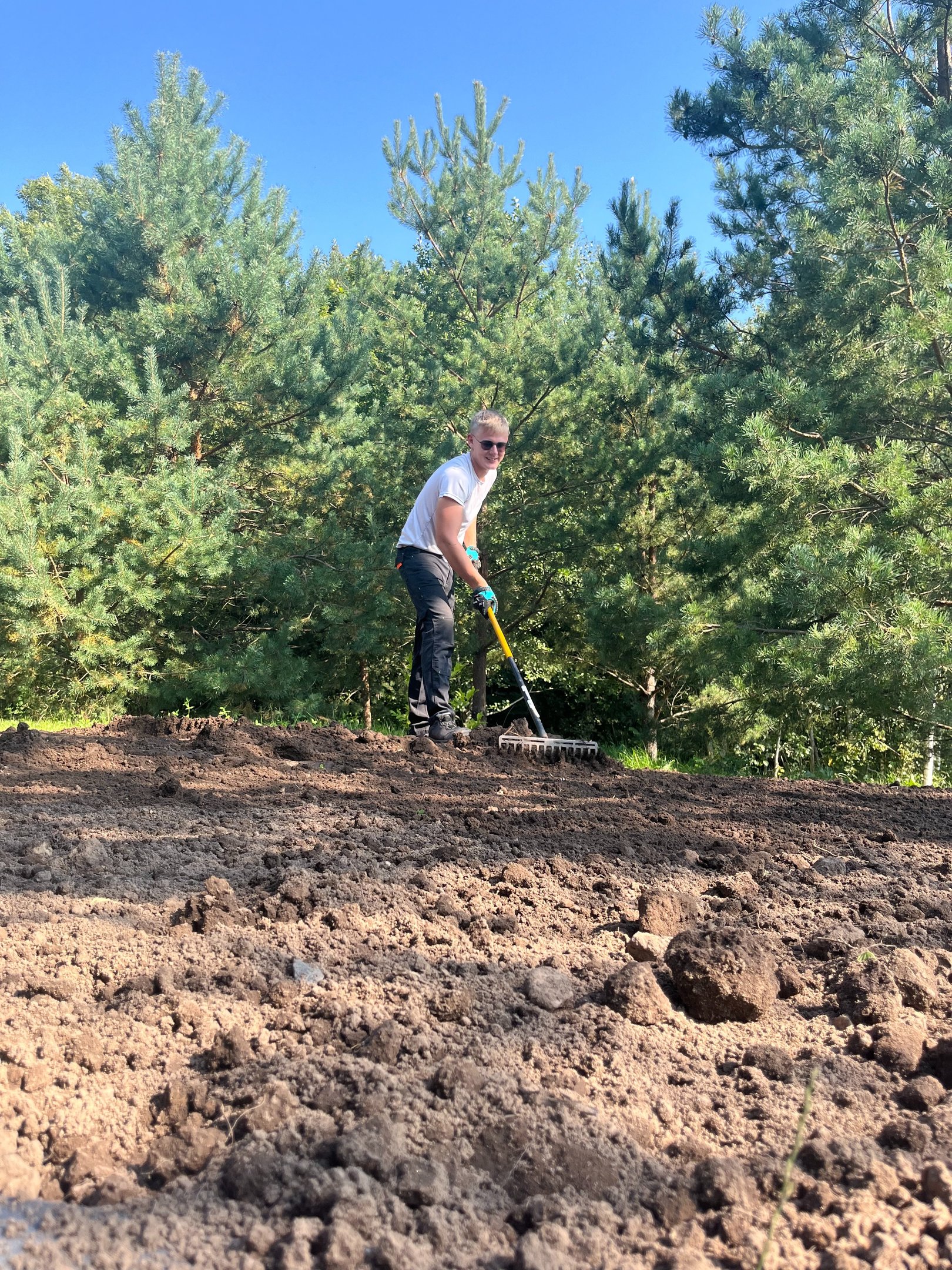 žęmės lyginimo darbai vejos įrengimui