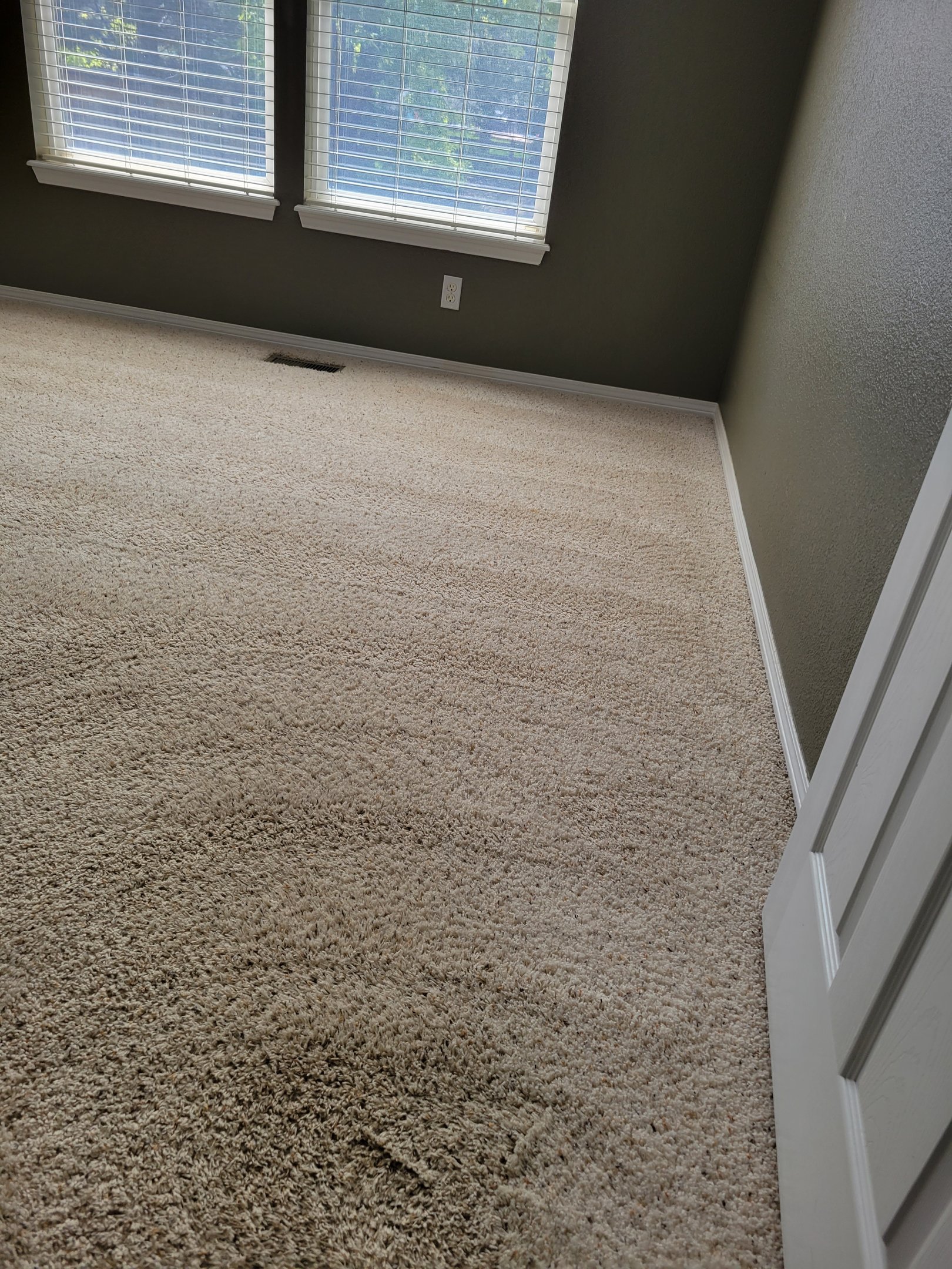 Spot Free, Odor Free, Chemical Free, Beautiful Result w/ King Organic Clean, Organic Carpet Cleaning