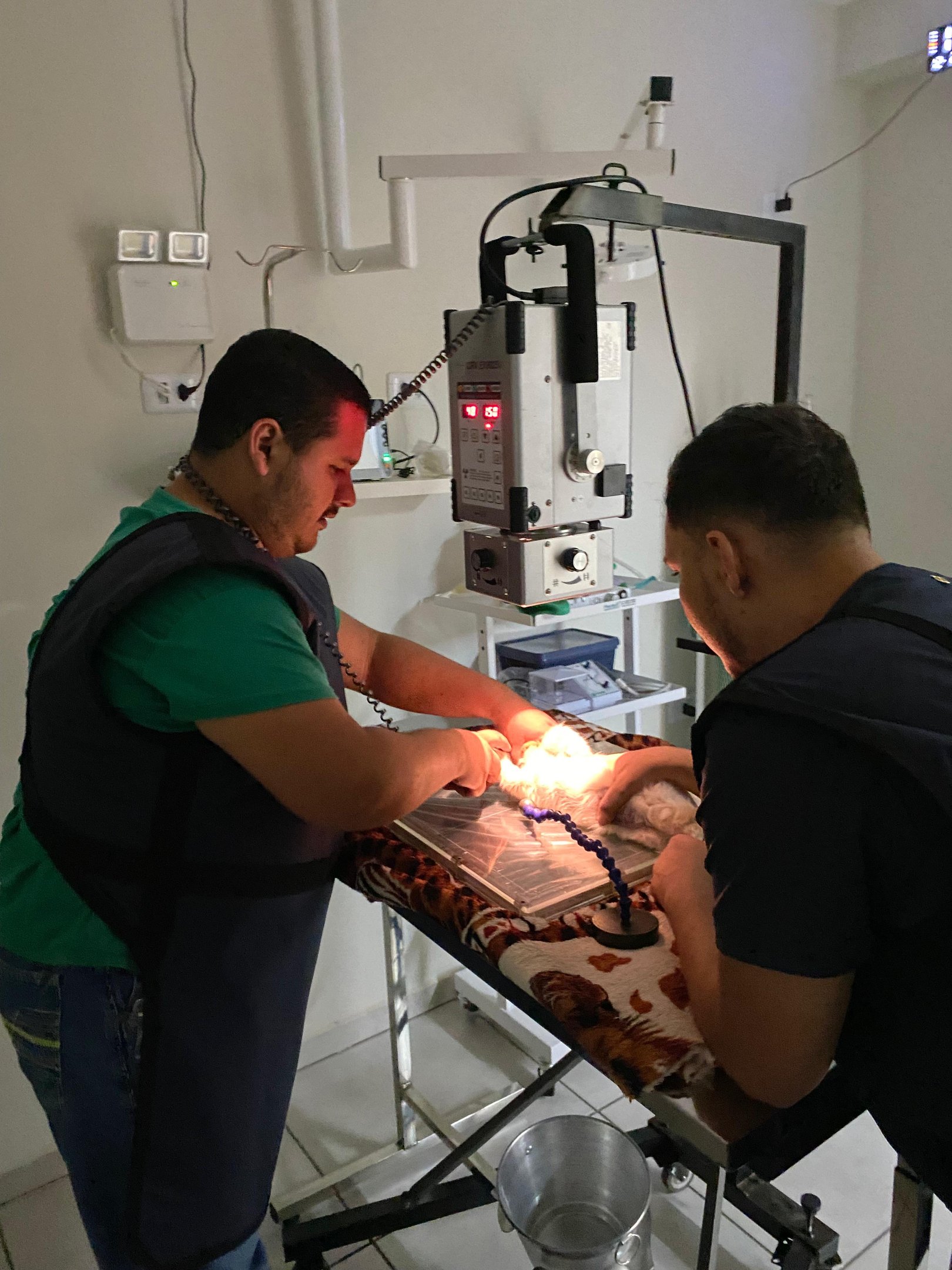 Veterinário em três lagoas