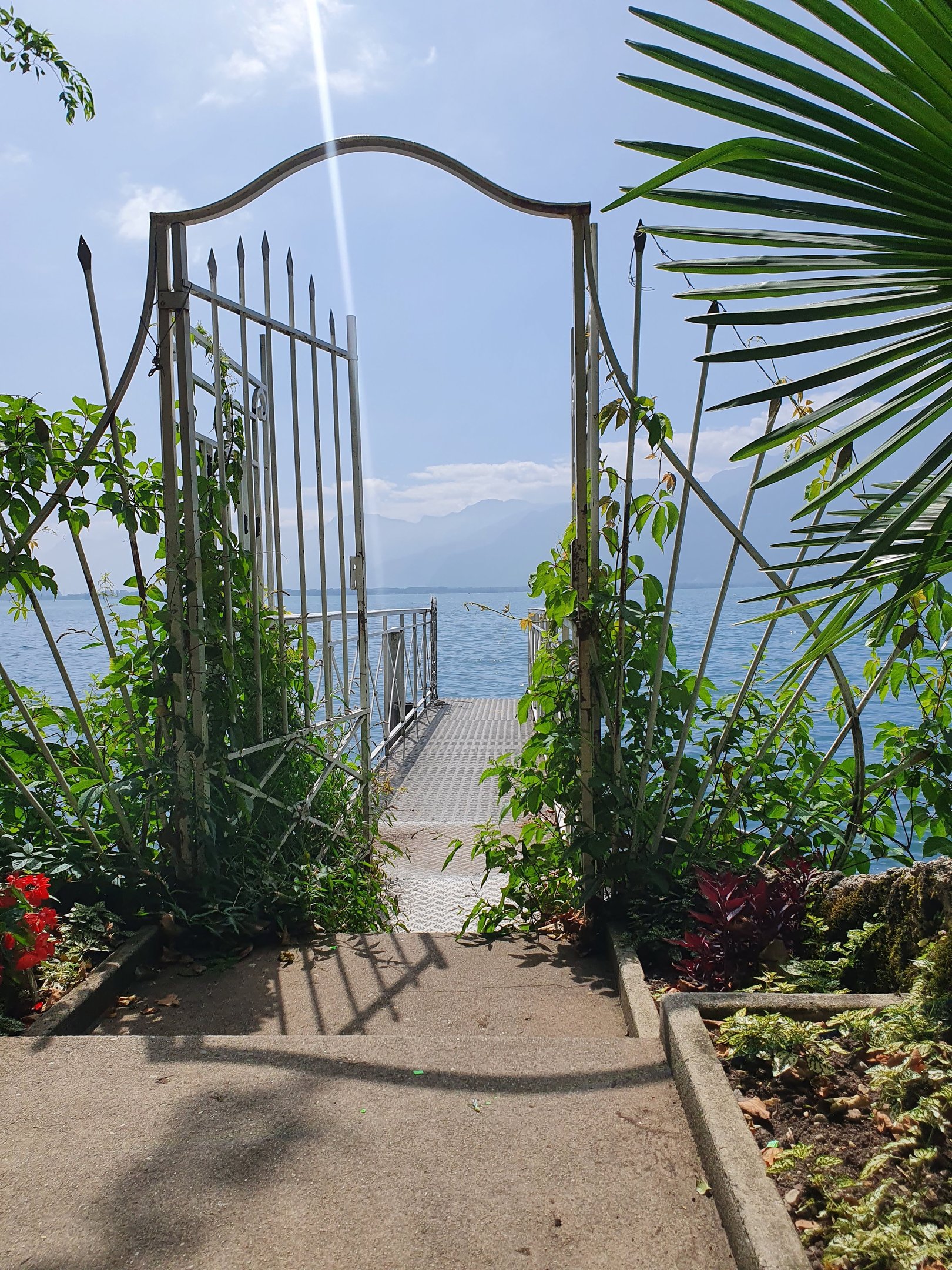 a gated in area with a wooden fence and a gate