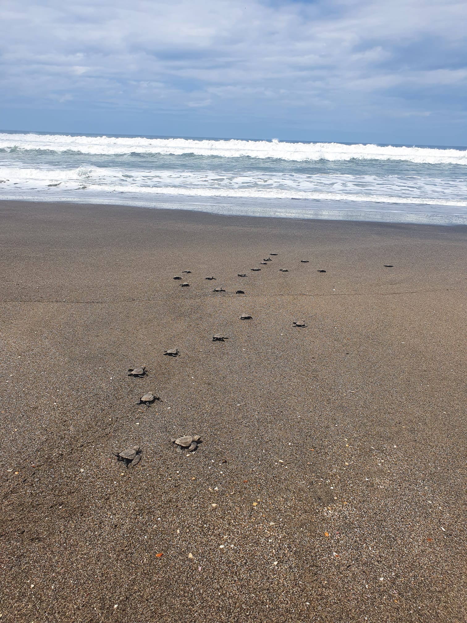 Juan Venado Island | Leon, Nicaragua | The Original Tours