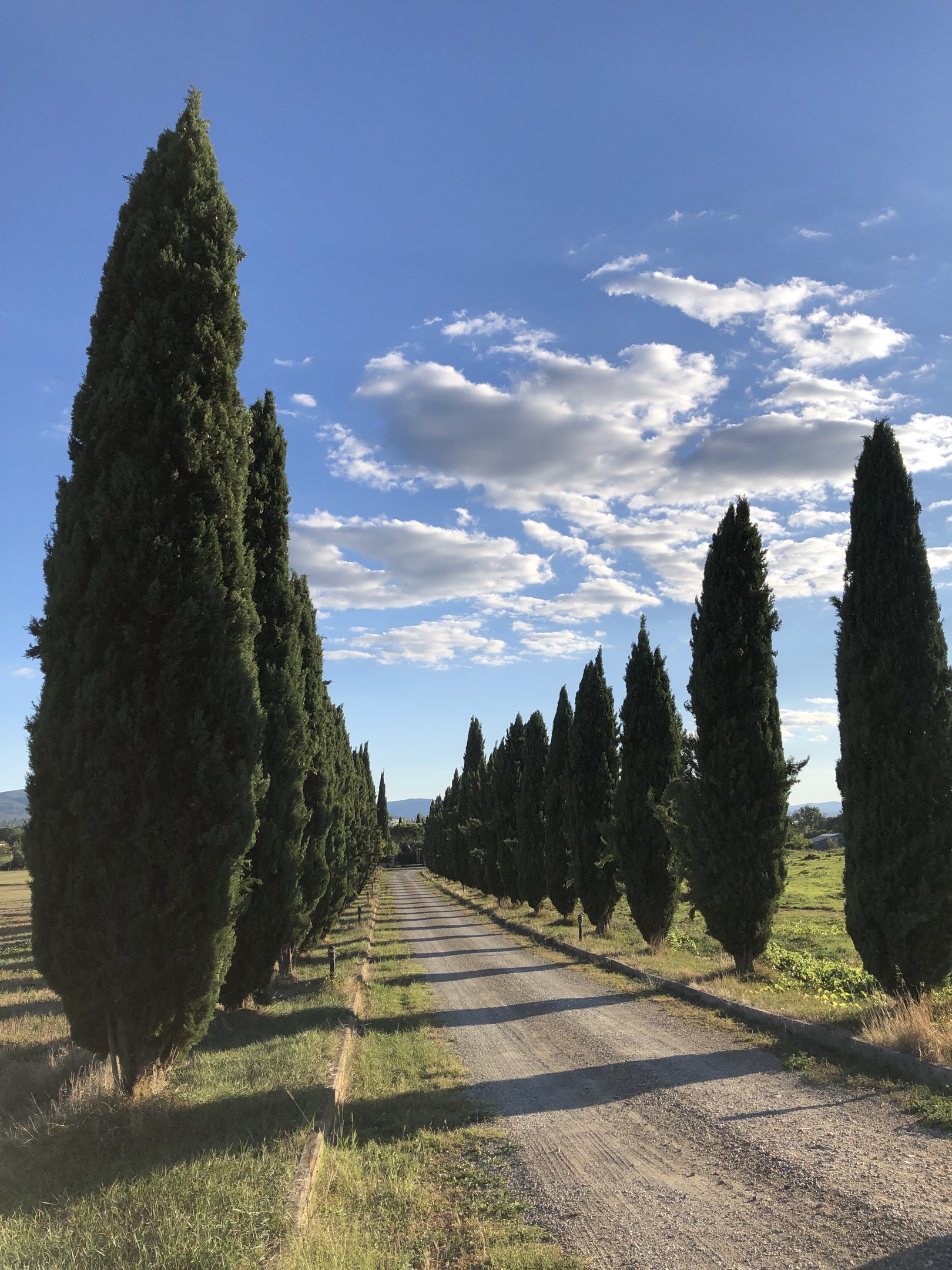 pienza, Montalcino, chianti, cipreste, castelo